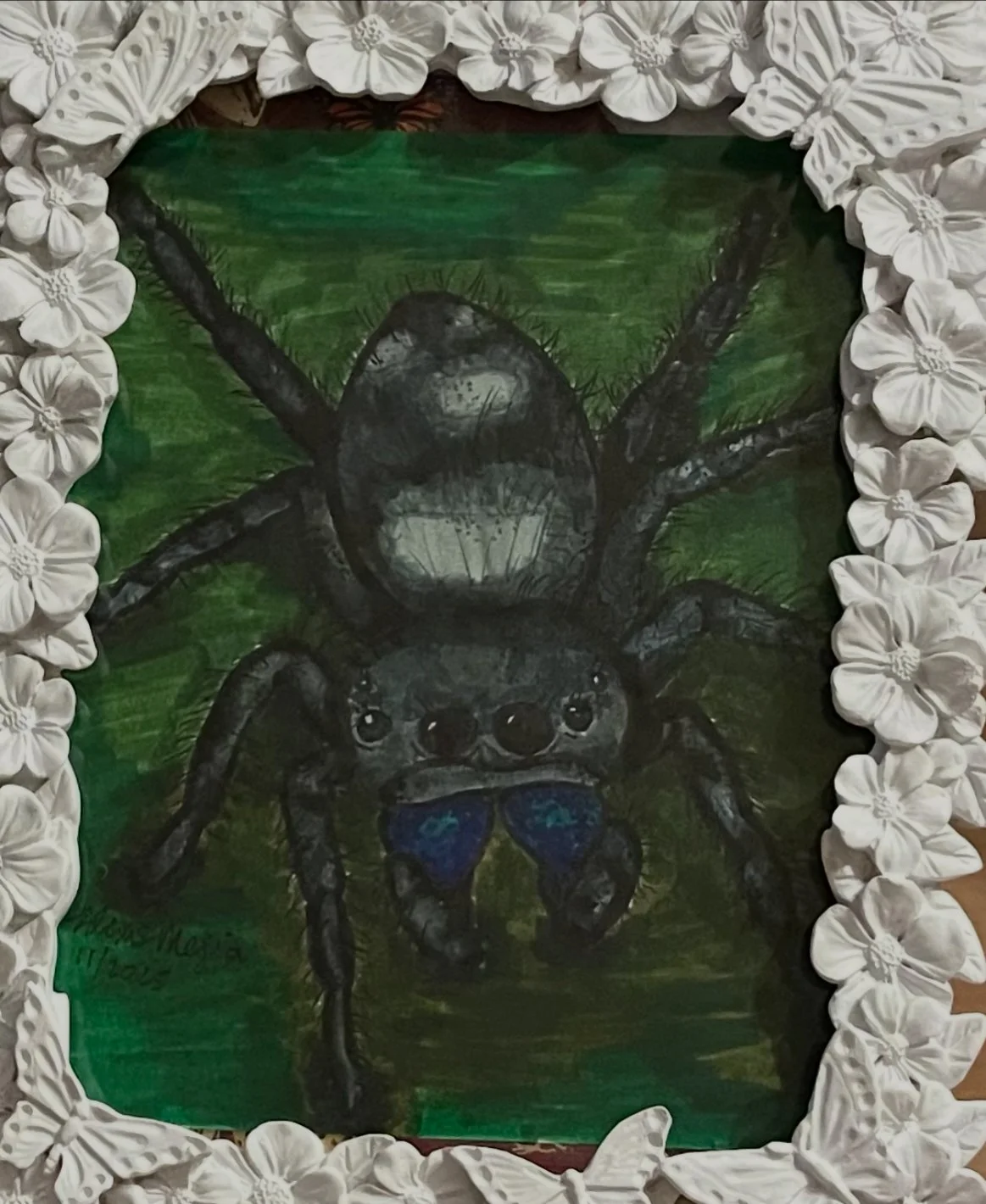 "Jumping Spider"