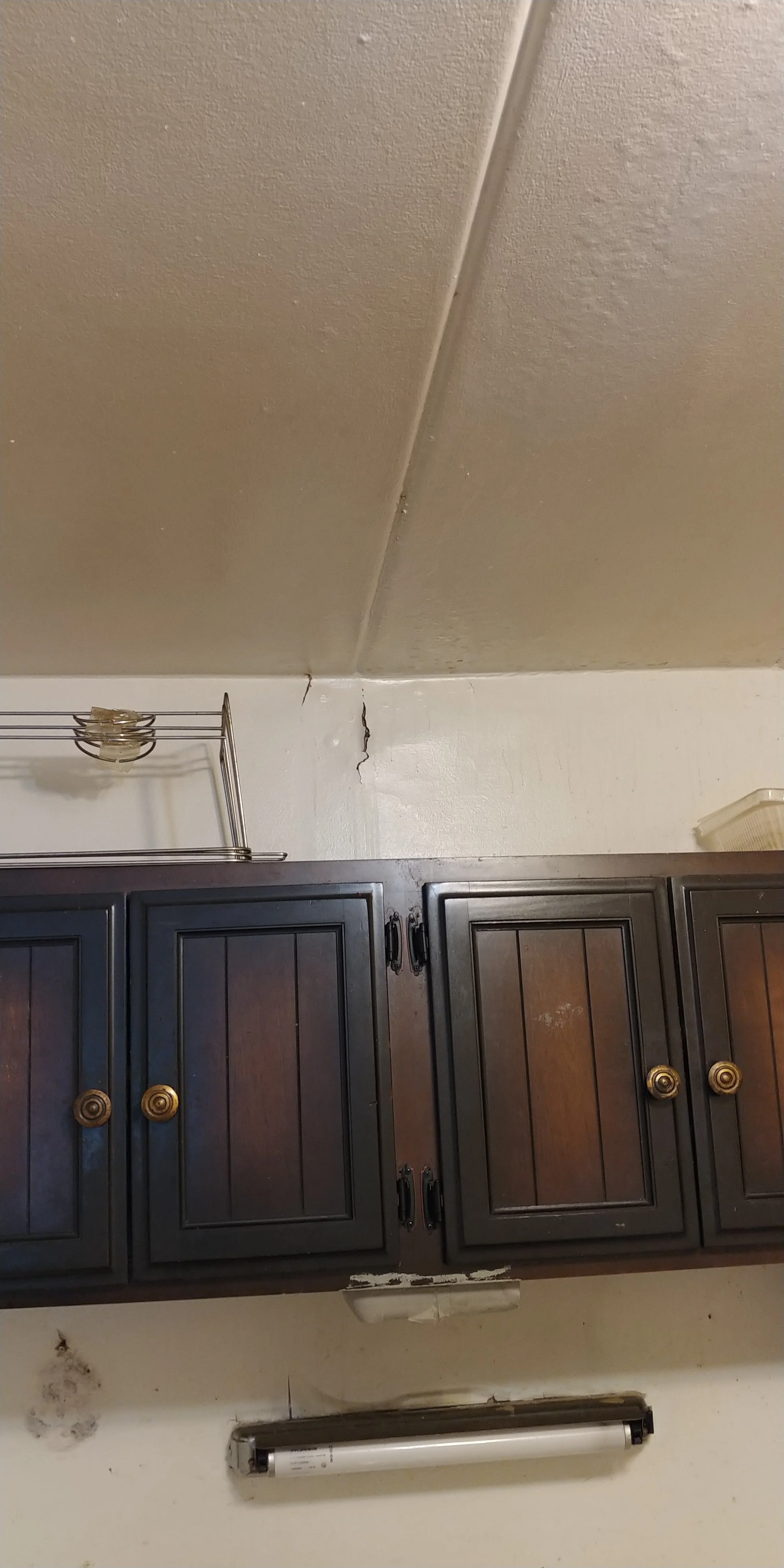20191206_114515.jpg