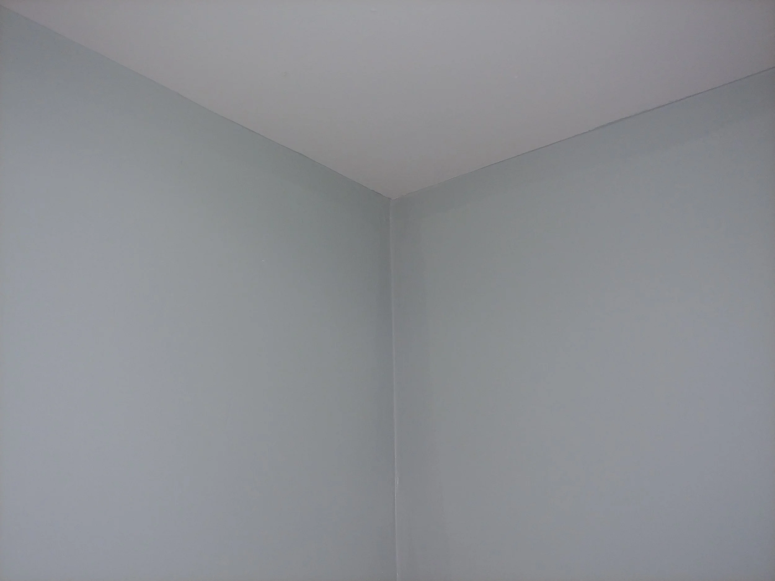 20190307_133359.jpg