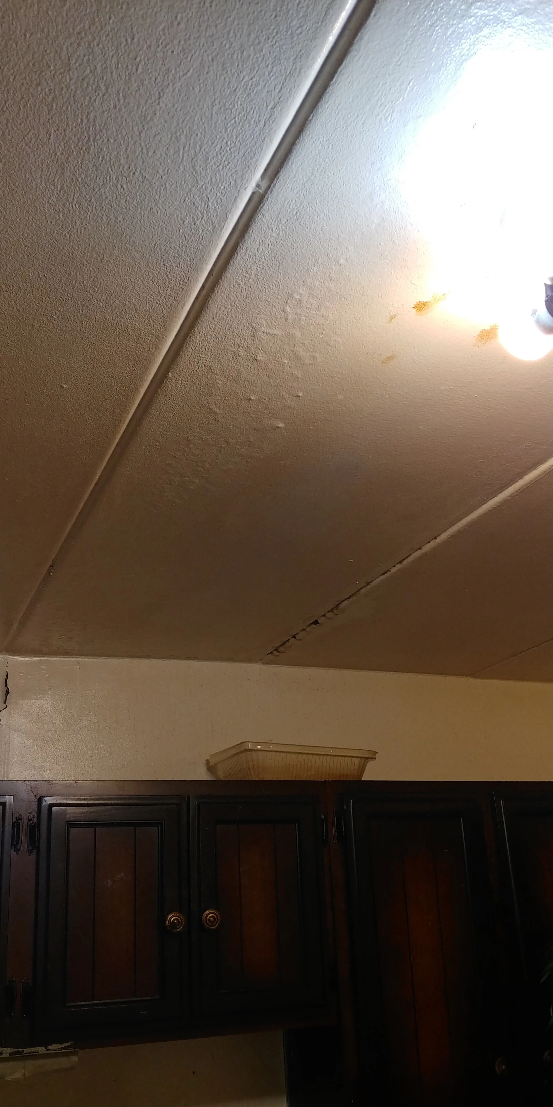 20191206_114521_HDR.jpg