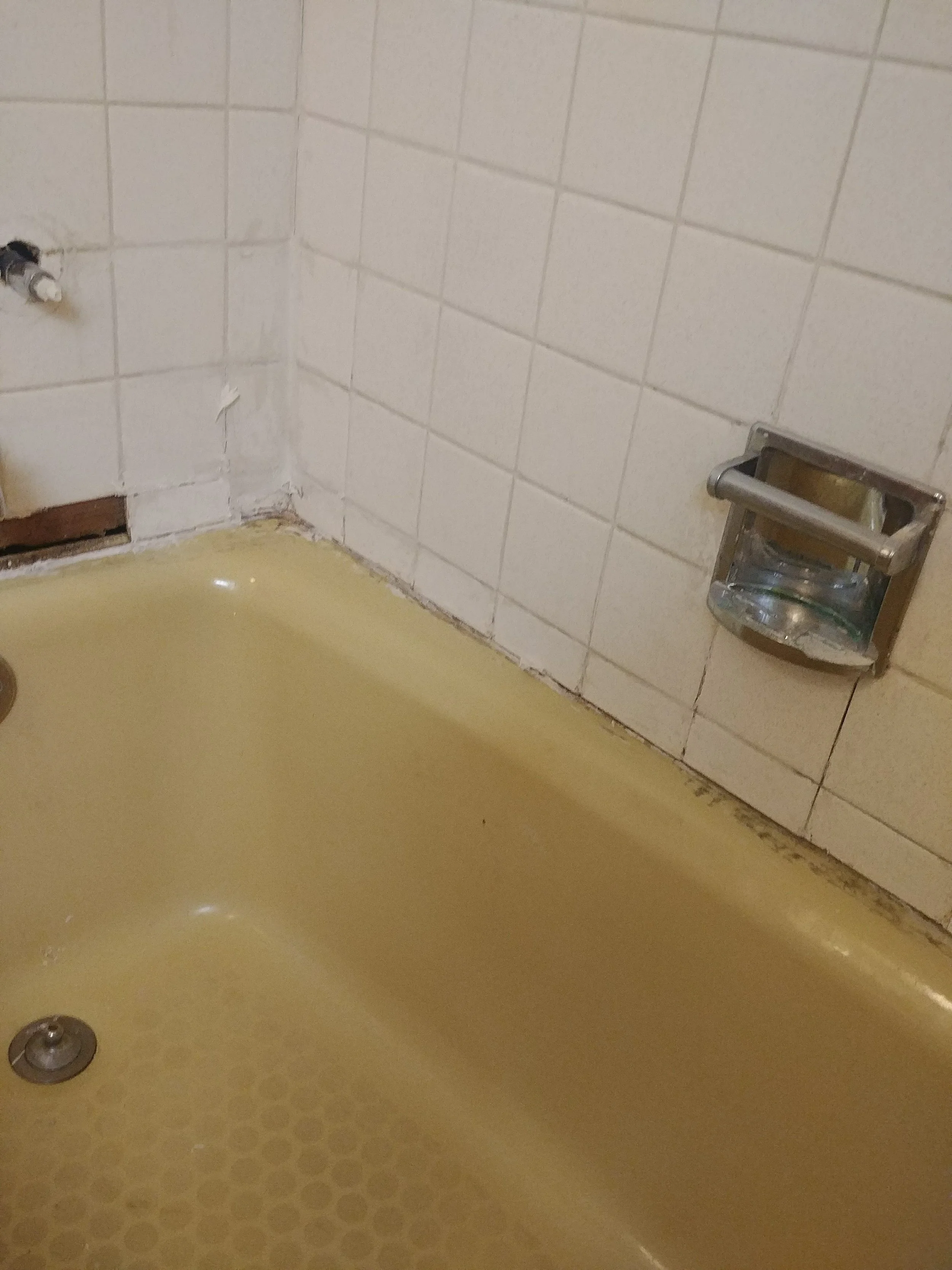 20180609_105903.jpg