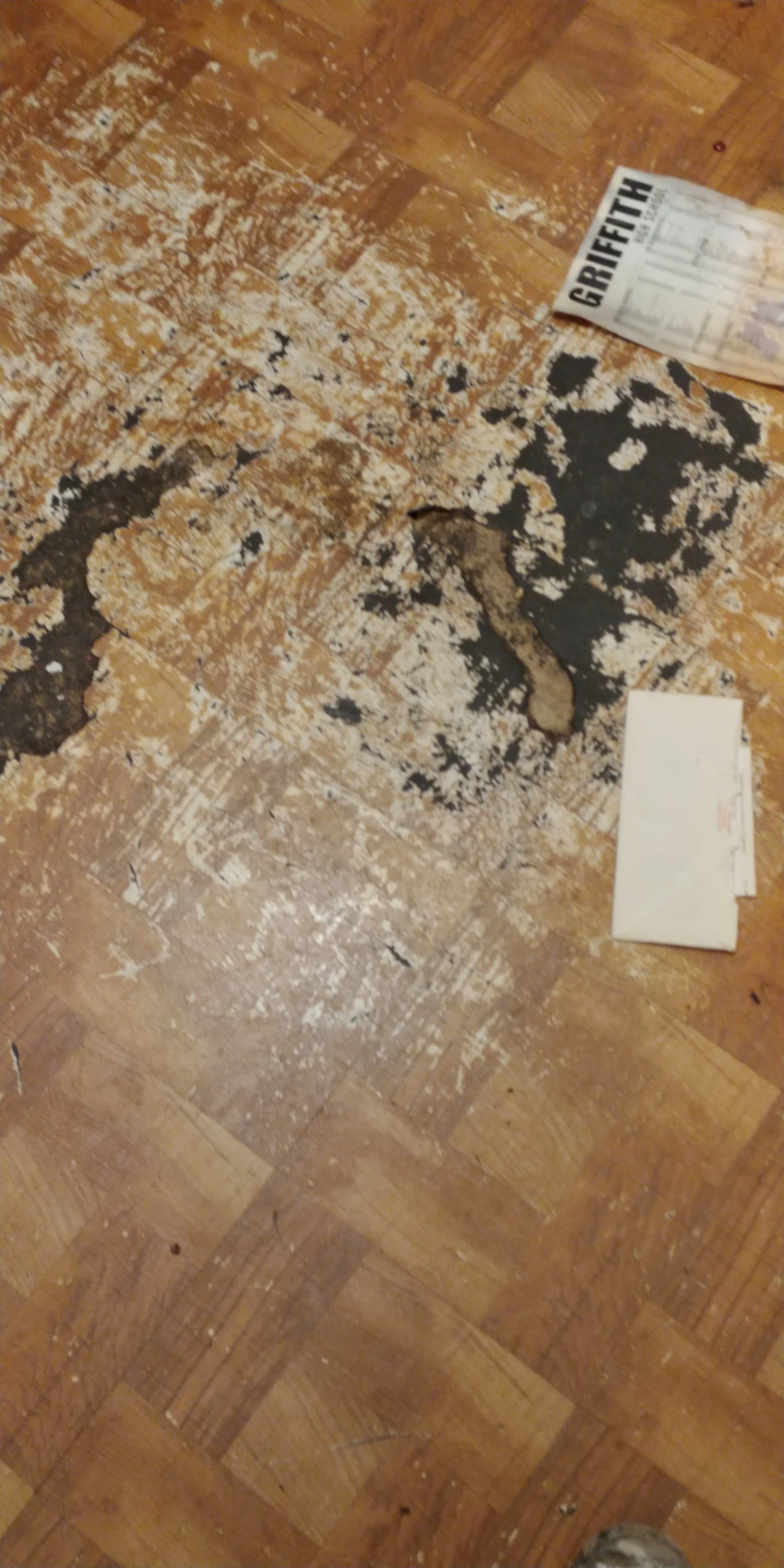20191206_114525.jpg