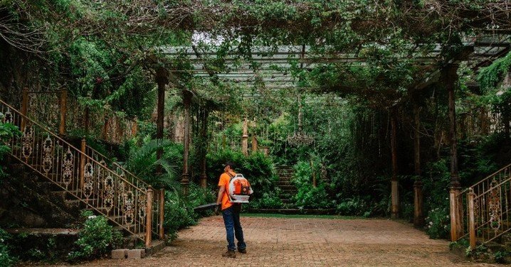 Every historic property has a story worth preserving.
We take pride in restoring landscapes with care and intention, honoring the character, craftsmanship, and history that make each property unique. Our goal is to breathe new life into these spaces 