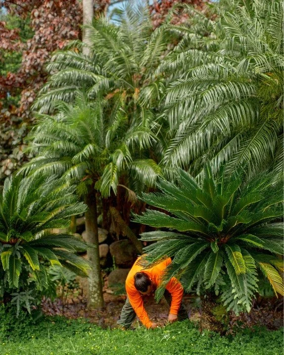The difference is in the details.

Our team takes pride in every landscape we care for, bringing attention, consistency, and craftsmanship to every project. It's the little things&mdash;done well, every day&mdash;that create outdoor spaces that feel 