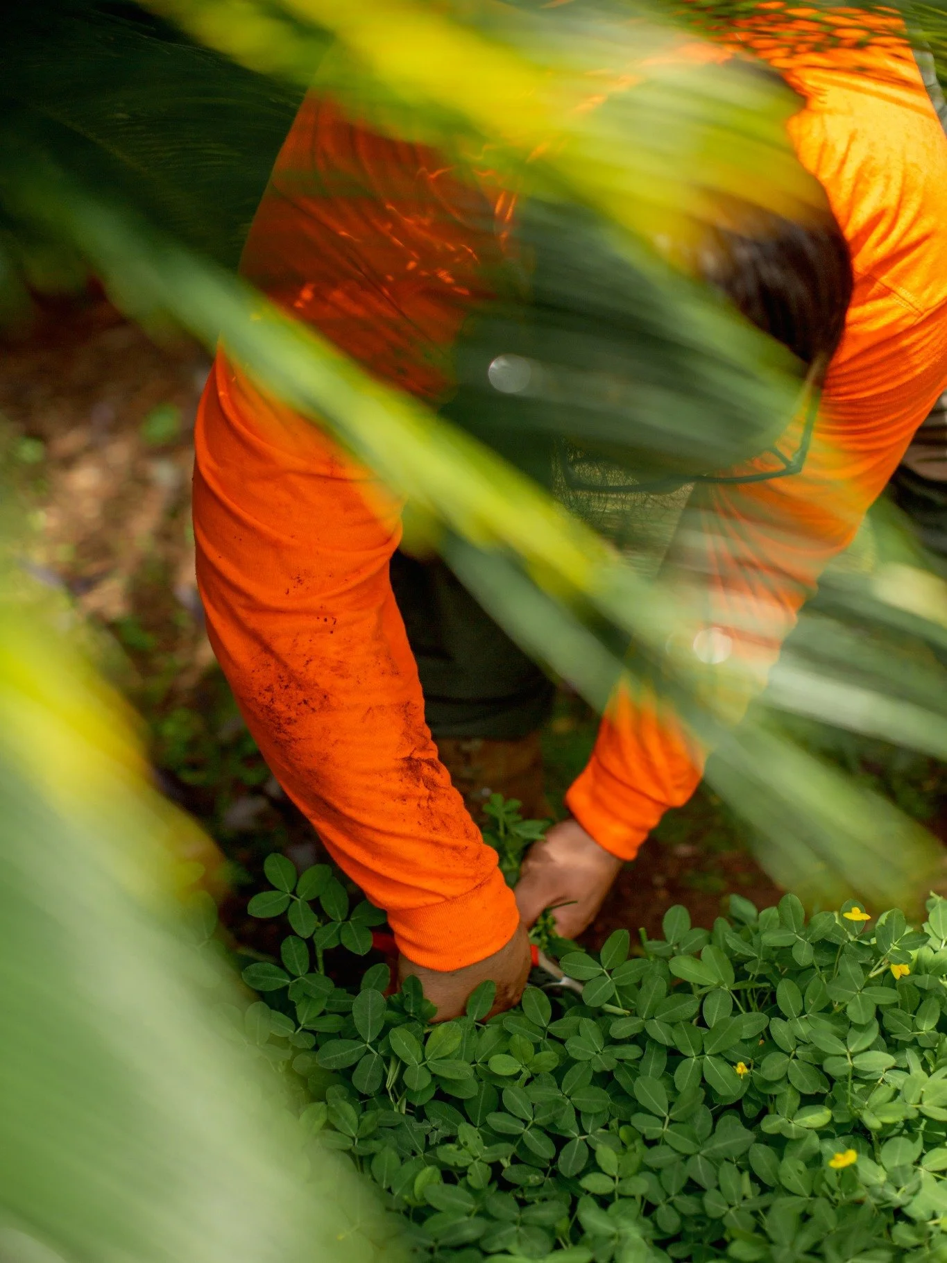Your property. One trusted team. From start to finish. 🌿

No juggling countless subcontractors or having a revolving door of people on your property. At InStyle Landscaping, we handle your project from start to finish&mdash;with quality, integrity, 