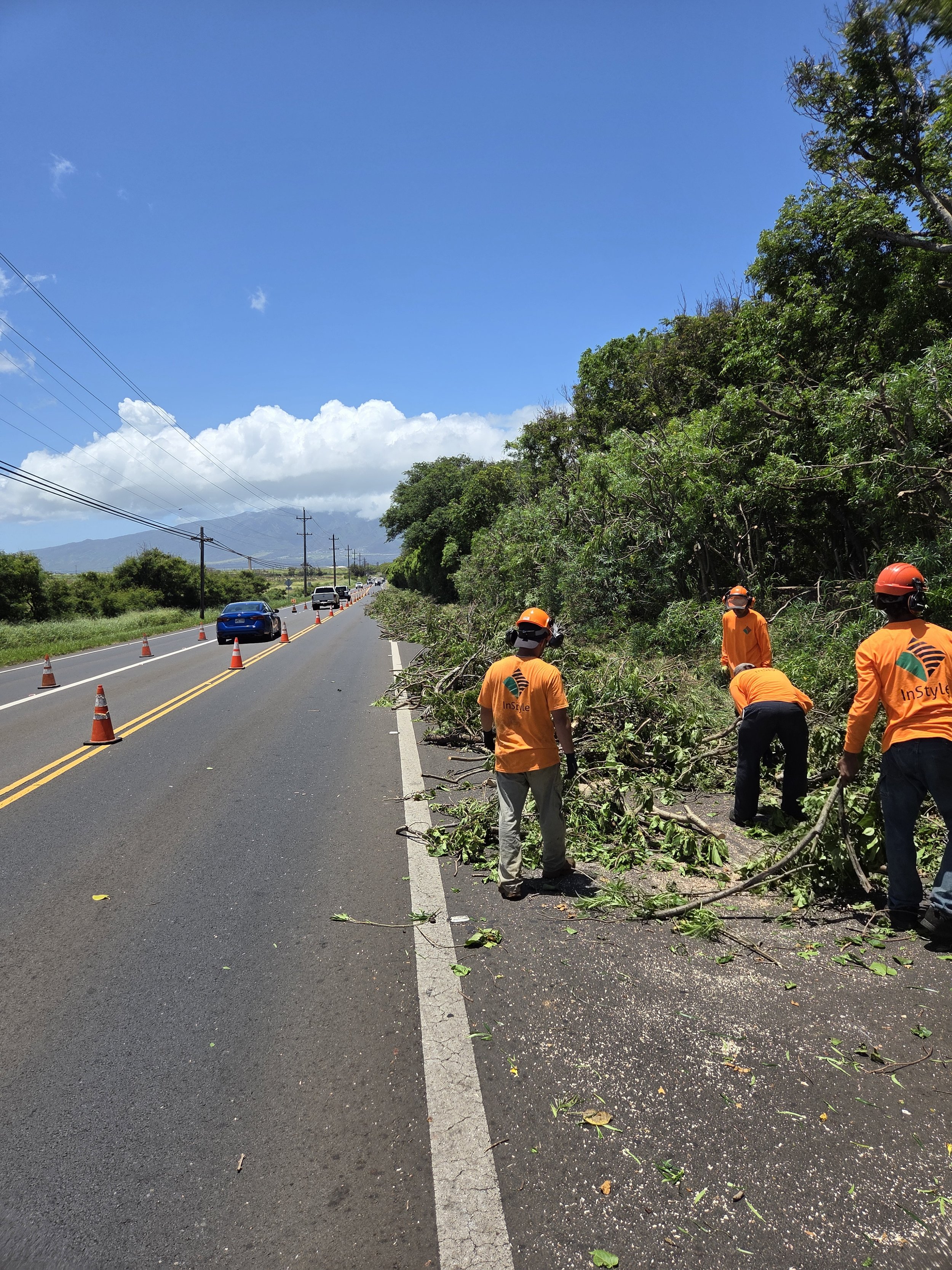 Workers in orange uniforms and helmets cleaning up debris, branches, and leaves from the side of a two-lane road with traffic cones, cars, and lush green trees under a bright blue sky with clouds and mountains in the background.