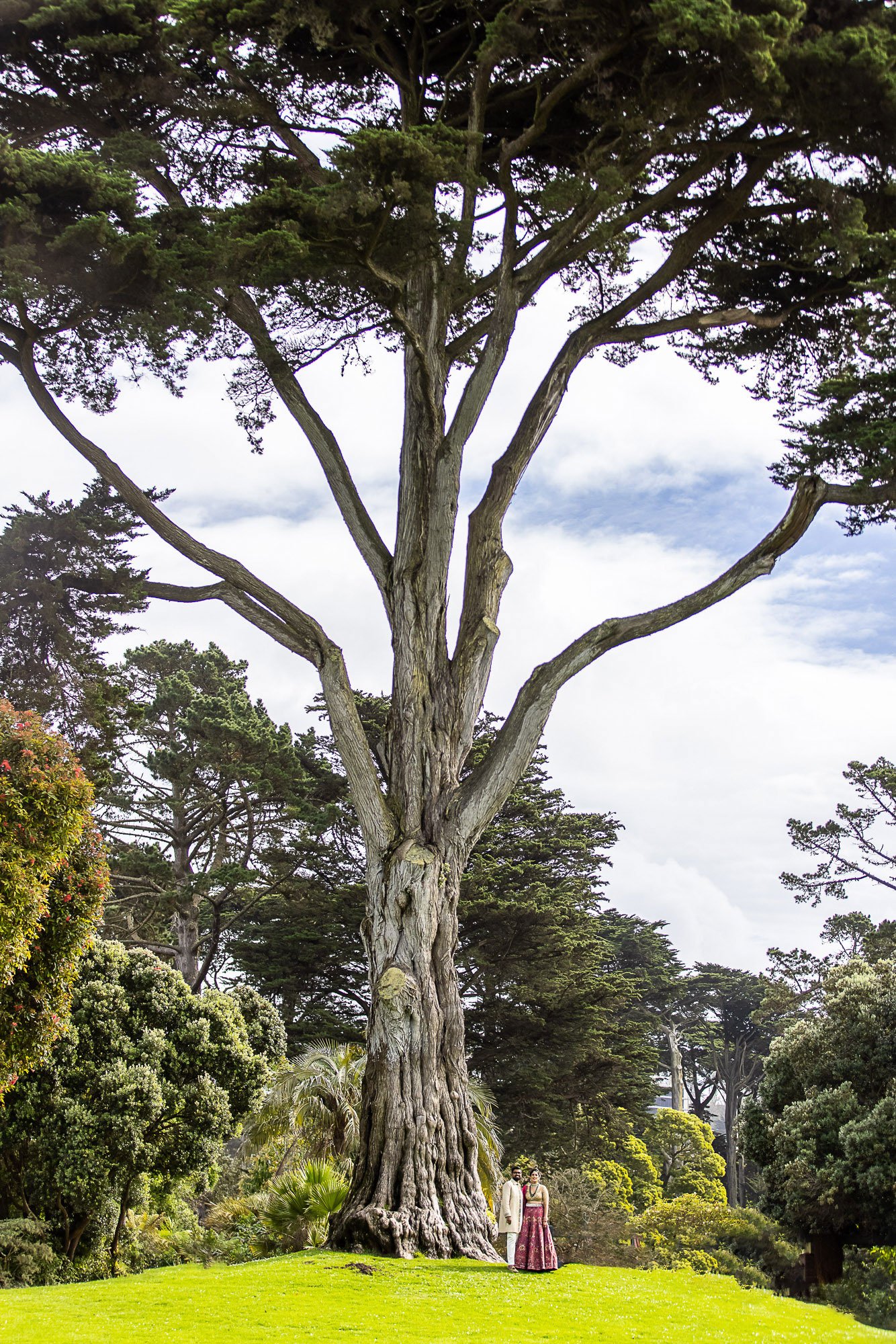 172-san-francisco-botanical-gardens-palace-hotel-indian-wedding.jpg
