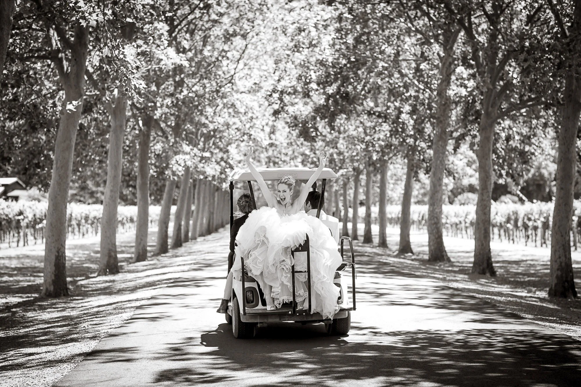 beaulieu-garden-wedding-bridal-portrait-50.jpg