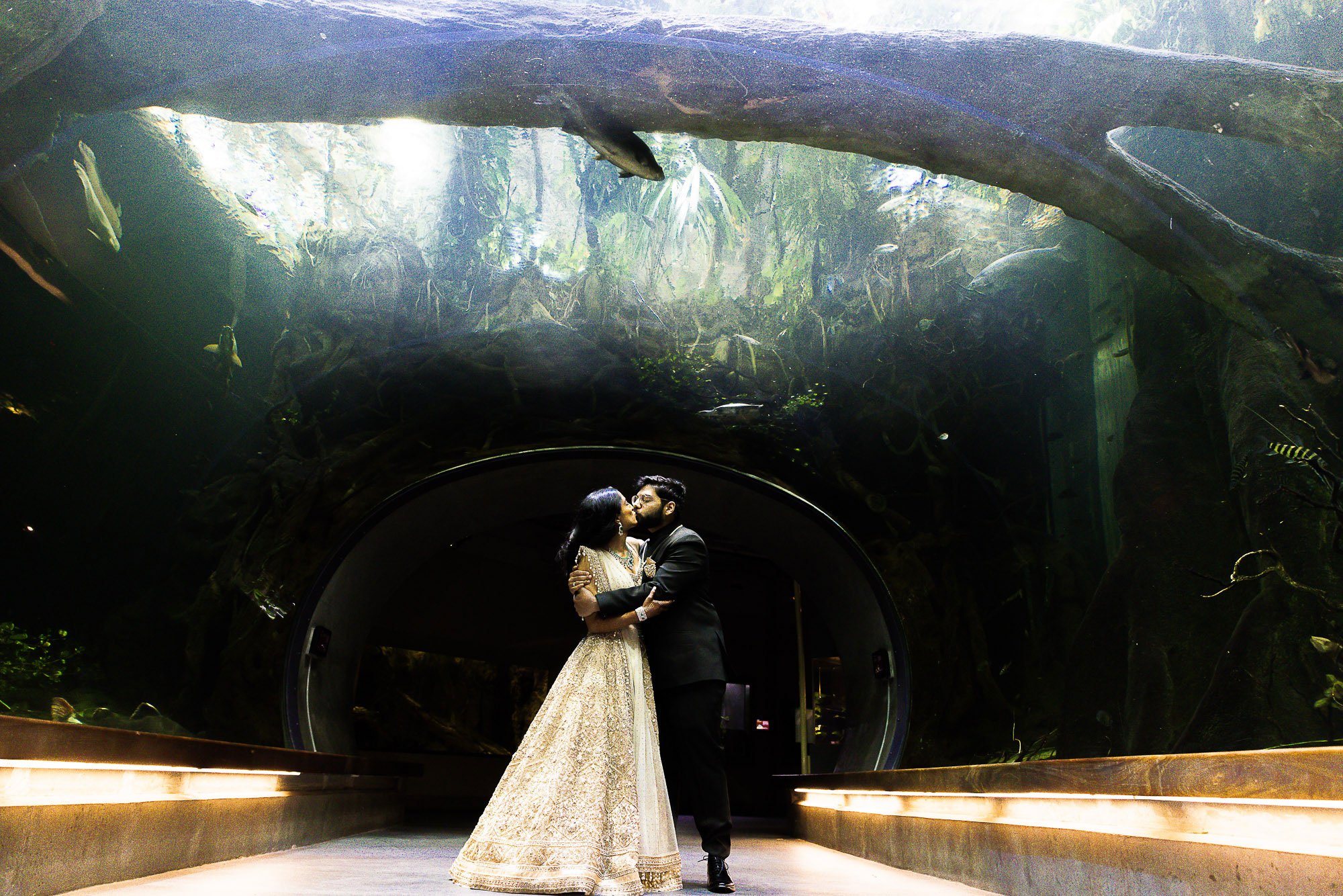 128-san-francisco-botanical-gardens--academy-of-sciences-indian-wedding.jpg