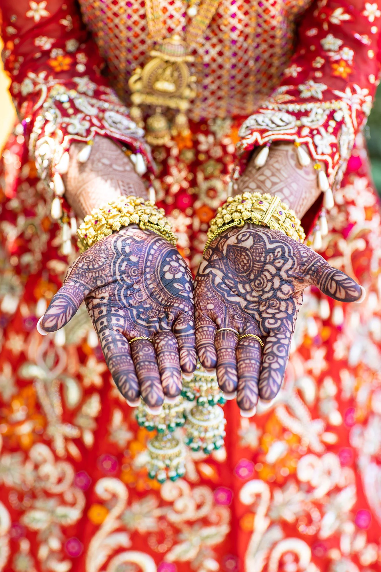 042-san-francisco-botanical-gardens--academy-of-sciences-indian-wedding.jpg