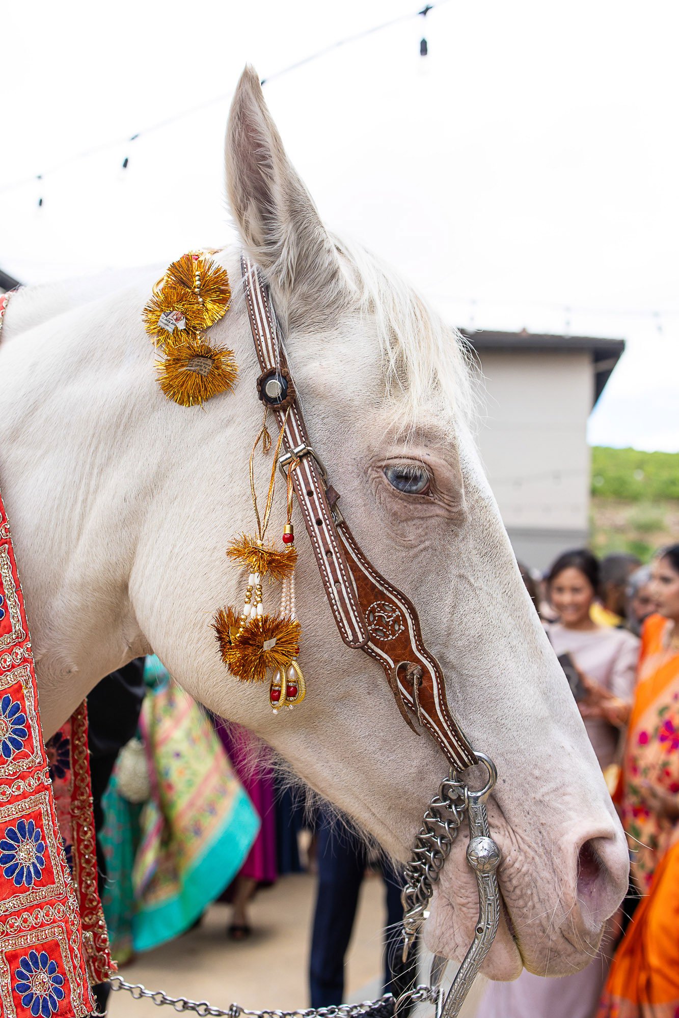 meritage-napa-indian-wedding-13.jpg