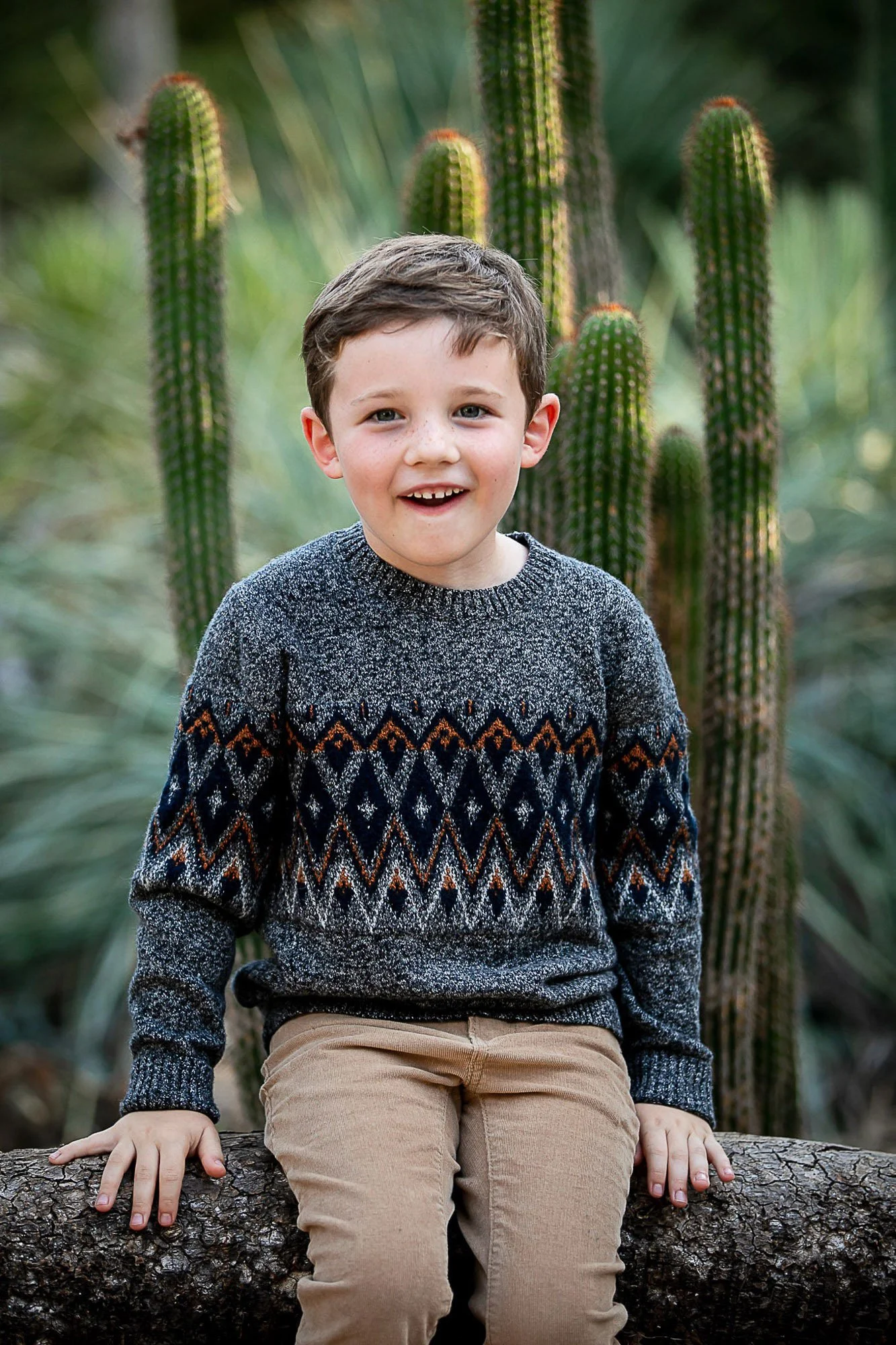 A young boy with short brown hair, blue eyes, and freckles, smiling while sitting on a tree branch in front of cactus plants.