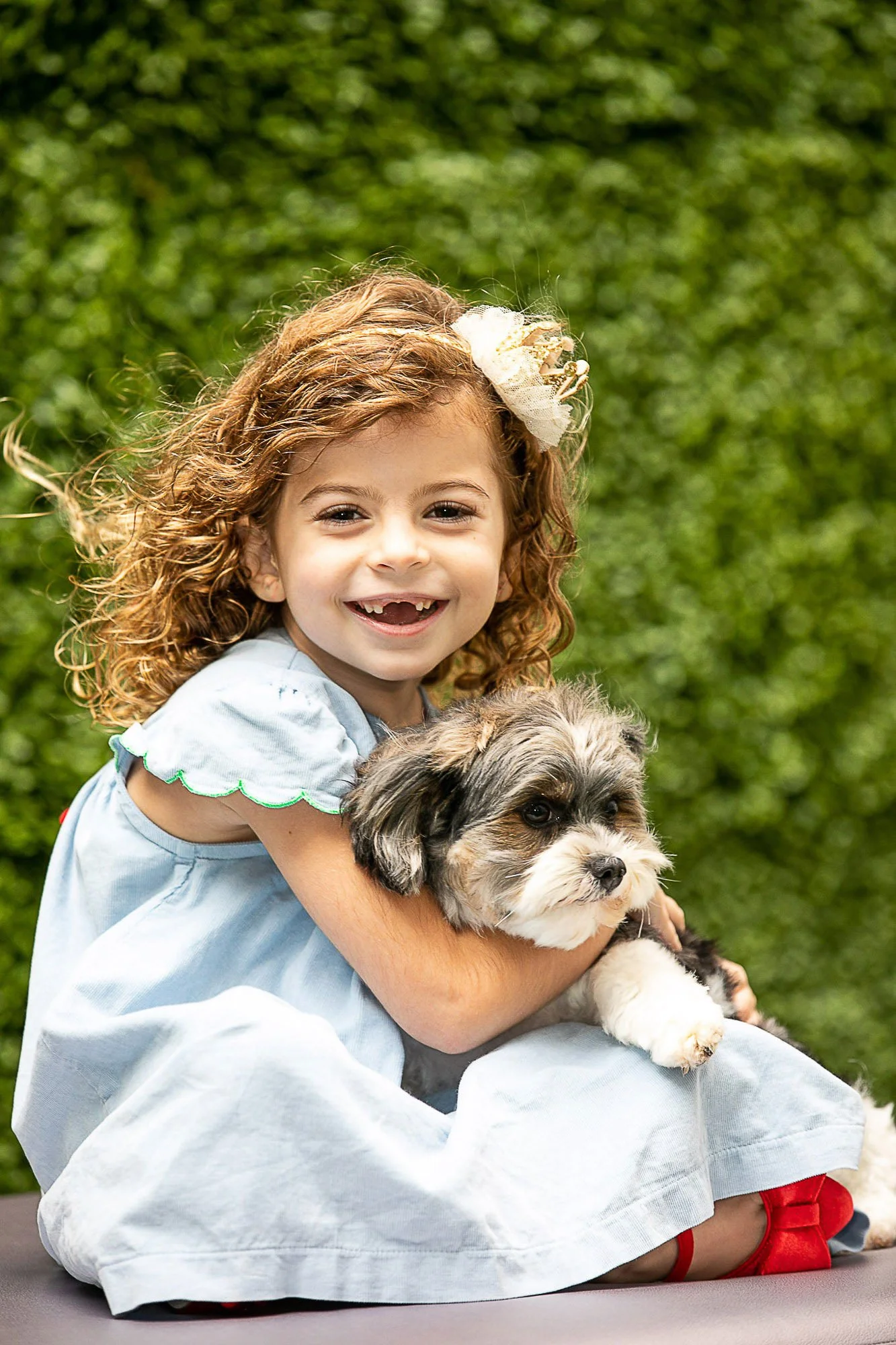 A young girl with curly red hair, wearing a light blue dress and a white bow in her hair, sitting on a gray surface outdoors, holding a small, fluffy puppy in her arms. Green bushes are in the background.