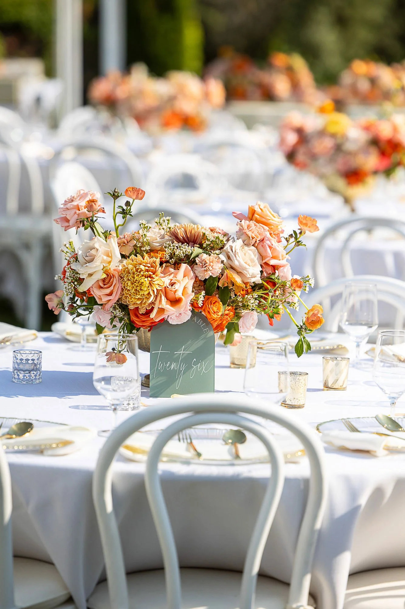 viansa-sonoma-indian-wedding-059.jpg