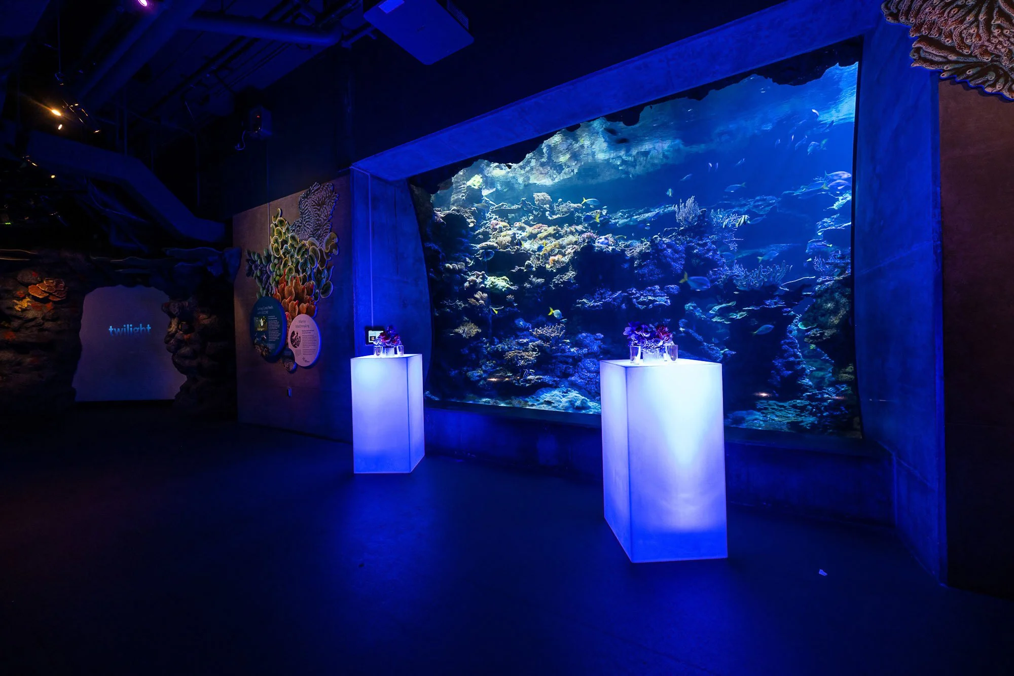 tara-arrowood-academy-of-sciences-reception-decor-5.jpg