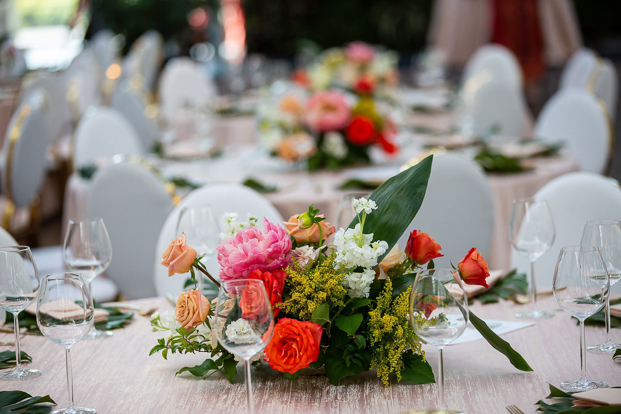 112-san-francisco-botanical-gardens--academy-of-sciences-indian-wedding.jpg