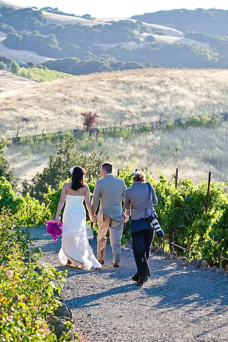 A bride and groom walking hand in hand through a vineyard with a photographer following them, during a wedding photoshoot by Tara Arrowood at Viansa Sonoma.