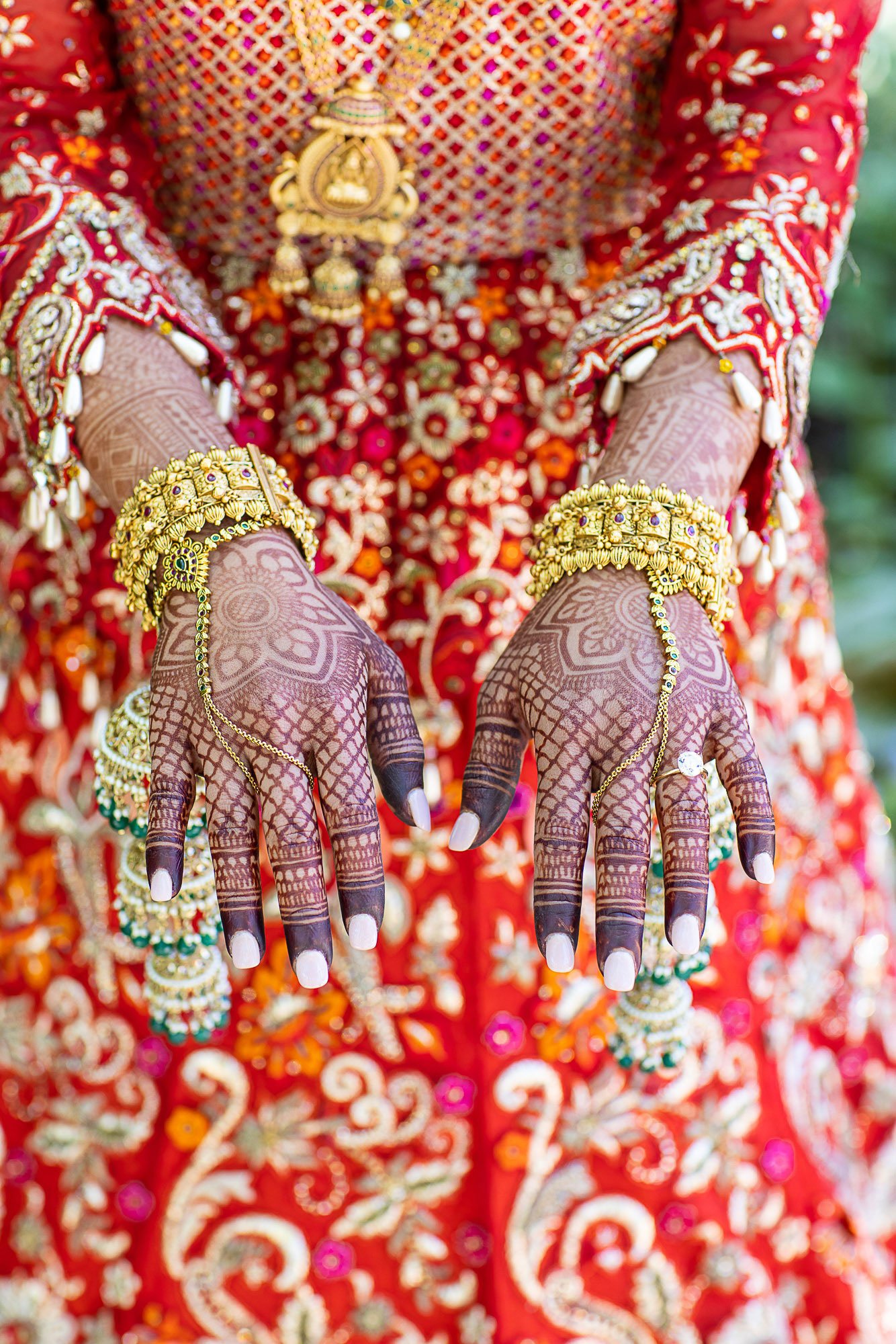 043-san-francisco-botanical-gardens--academy-of-sciences-indian-wedding.jpg