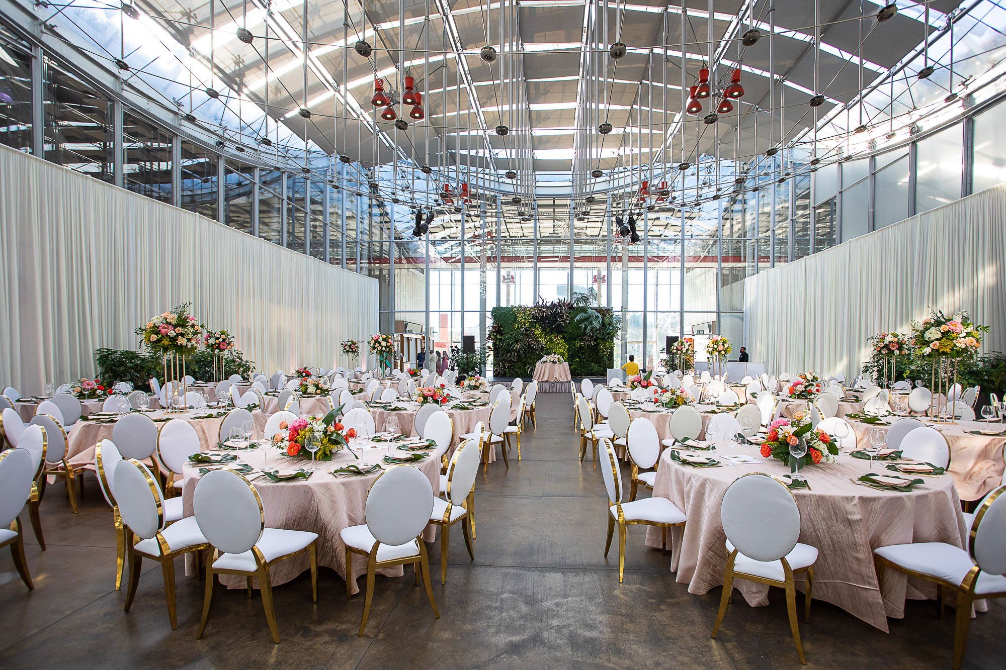 111-san-francisco-botanical-gardens--academy-of-sciences-indian-wedding.jpg
