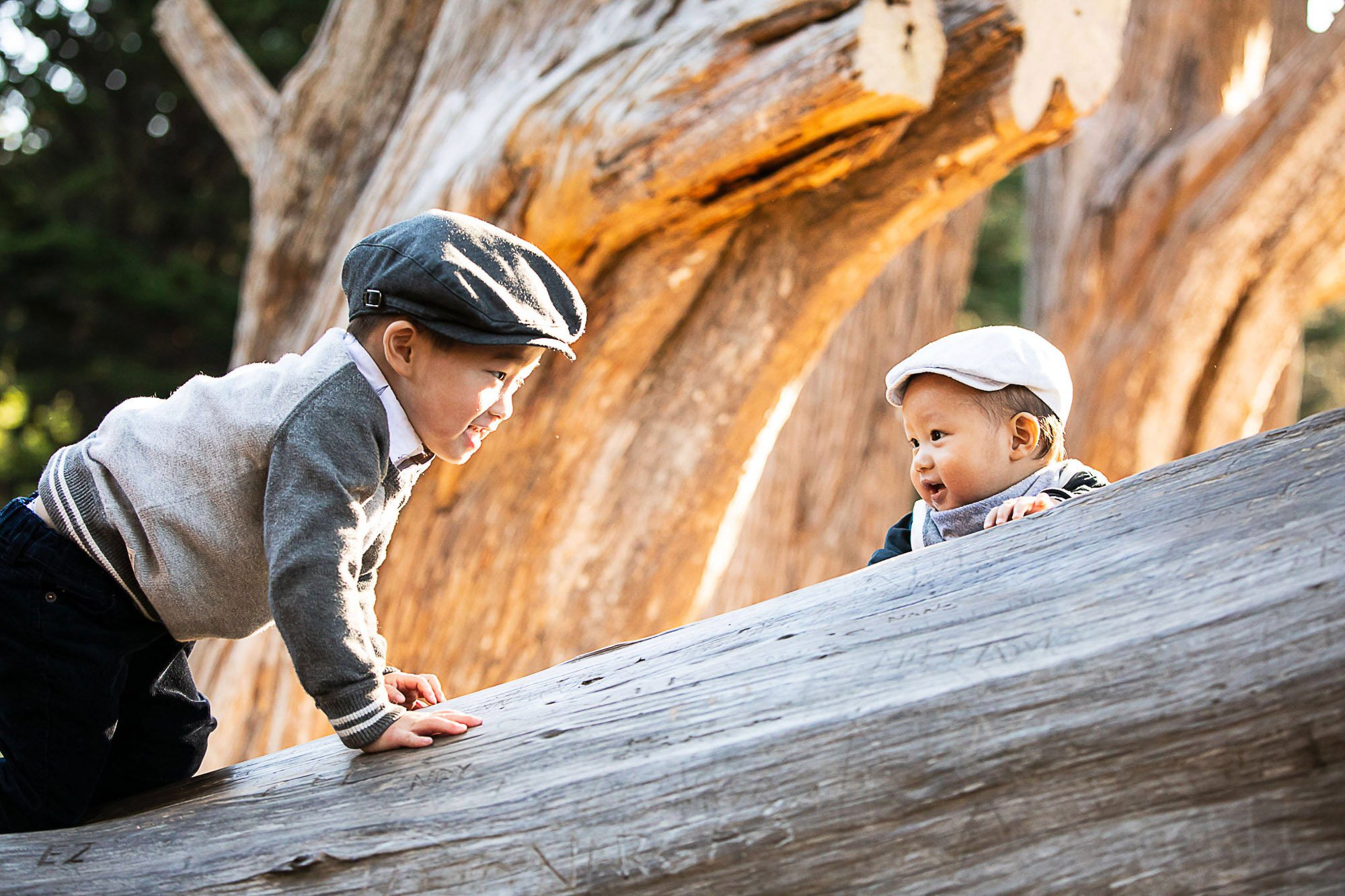 Two young children playing outdoors, one leaning over a wooden log and the other sitting on it, with a large tree in the background.