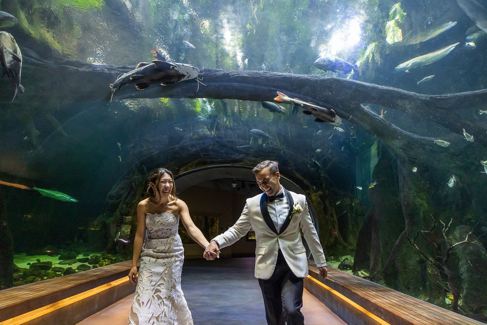 tara-arrowood-academy-of-sciences-couple-aquarium.jpg