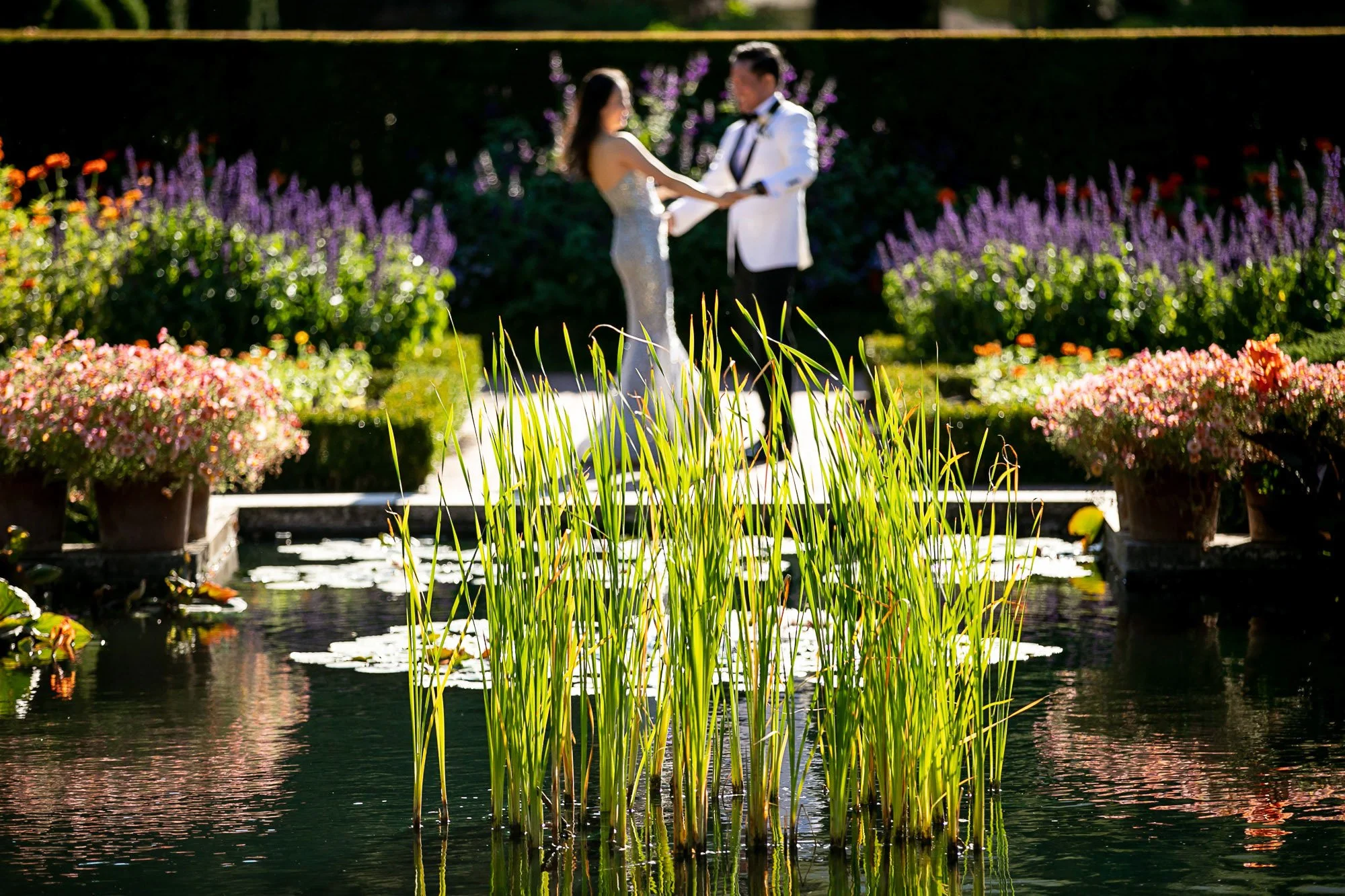 filoli-gardens-wedding-bride-and-groom-portrait-27.jpg