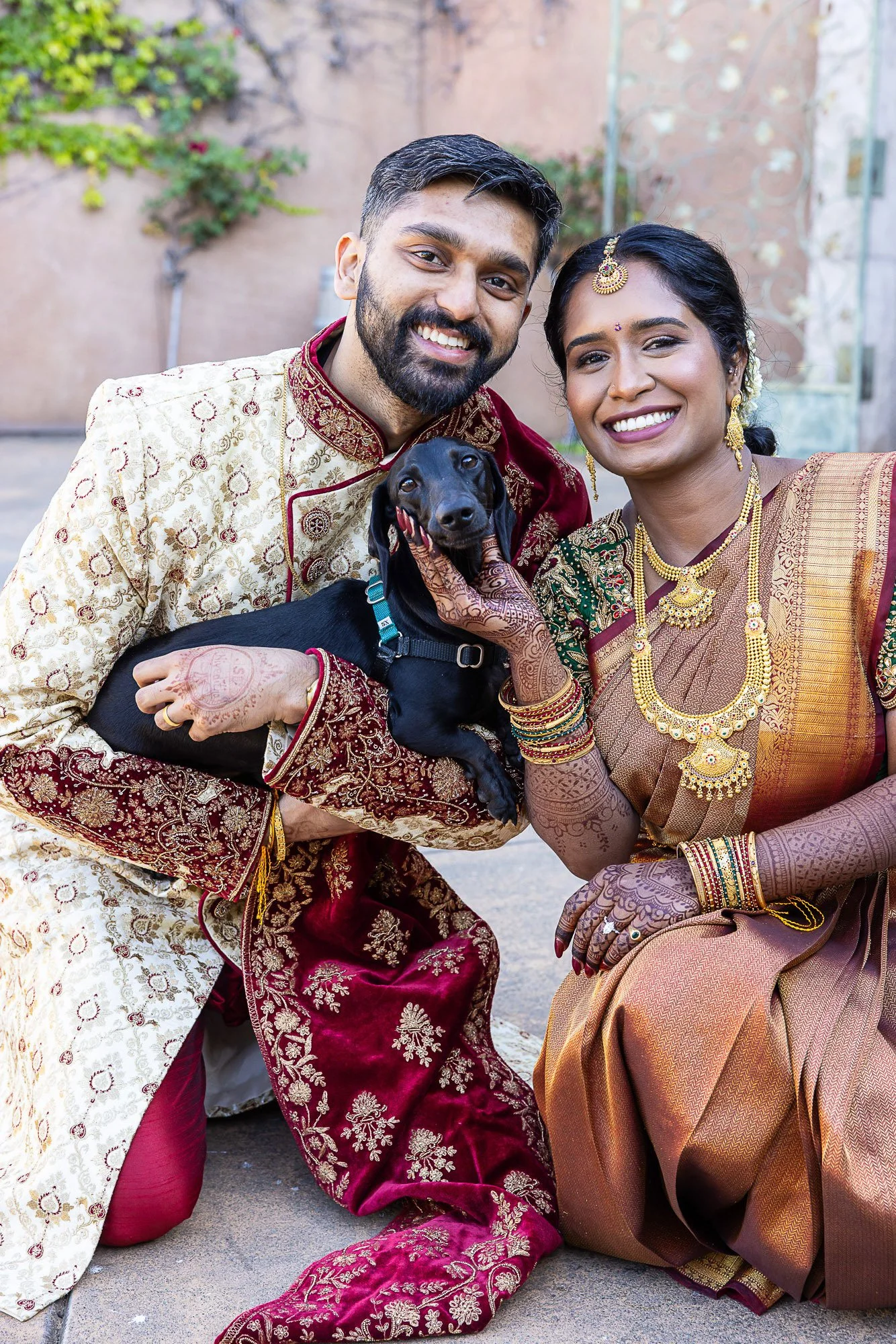 Bride and groom seated with their dog at Viansa Winery, Sonoma