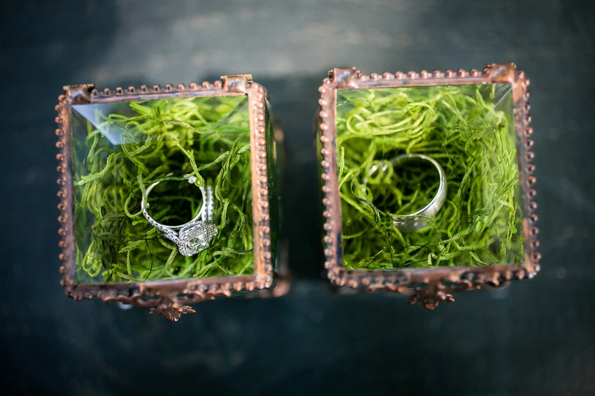 beaulieu-garden-wedding-rings-04.jpg
