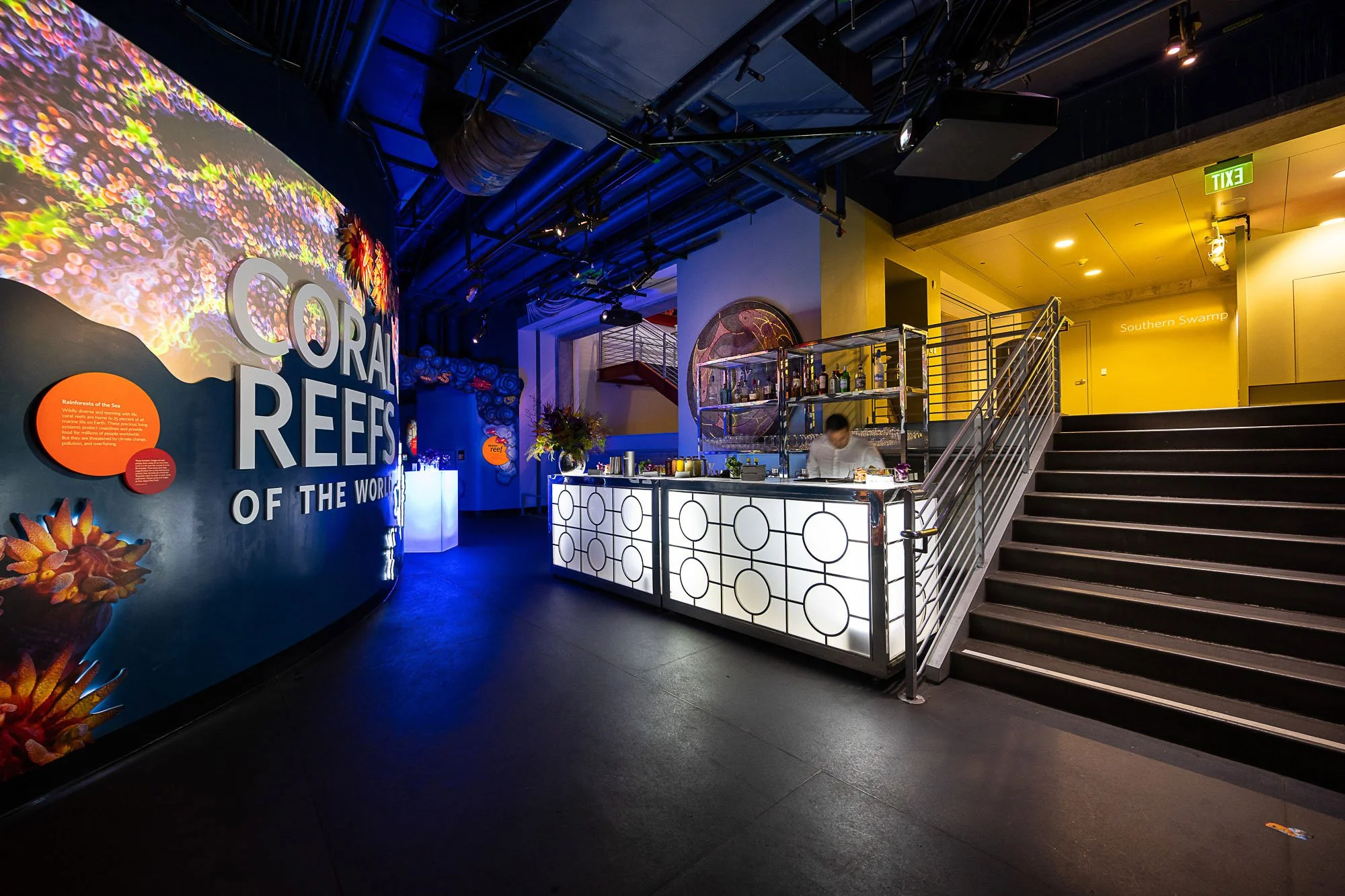tara-arrowood-academy-of-sciences-reception-decor-6.jpg