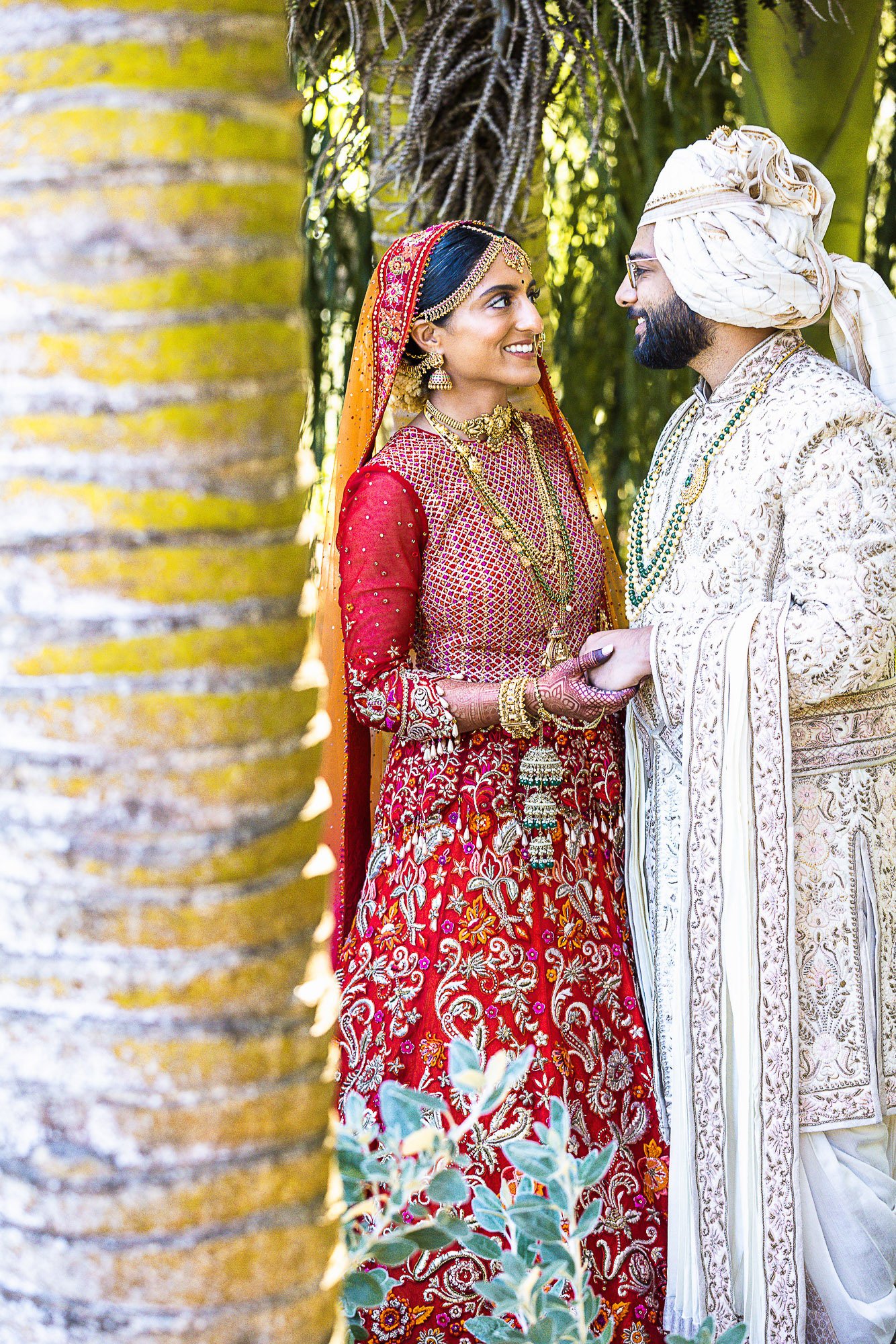 035-san-francisco-botanical-gardens--academy-of-sciences-indian-wedding.jpg