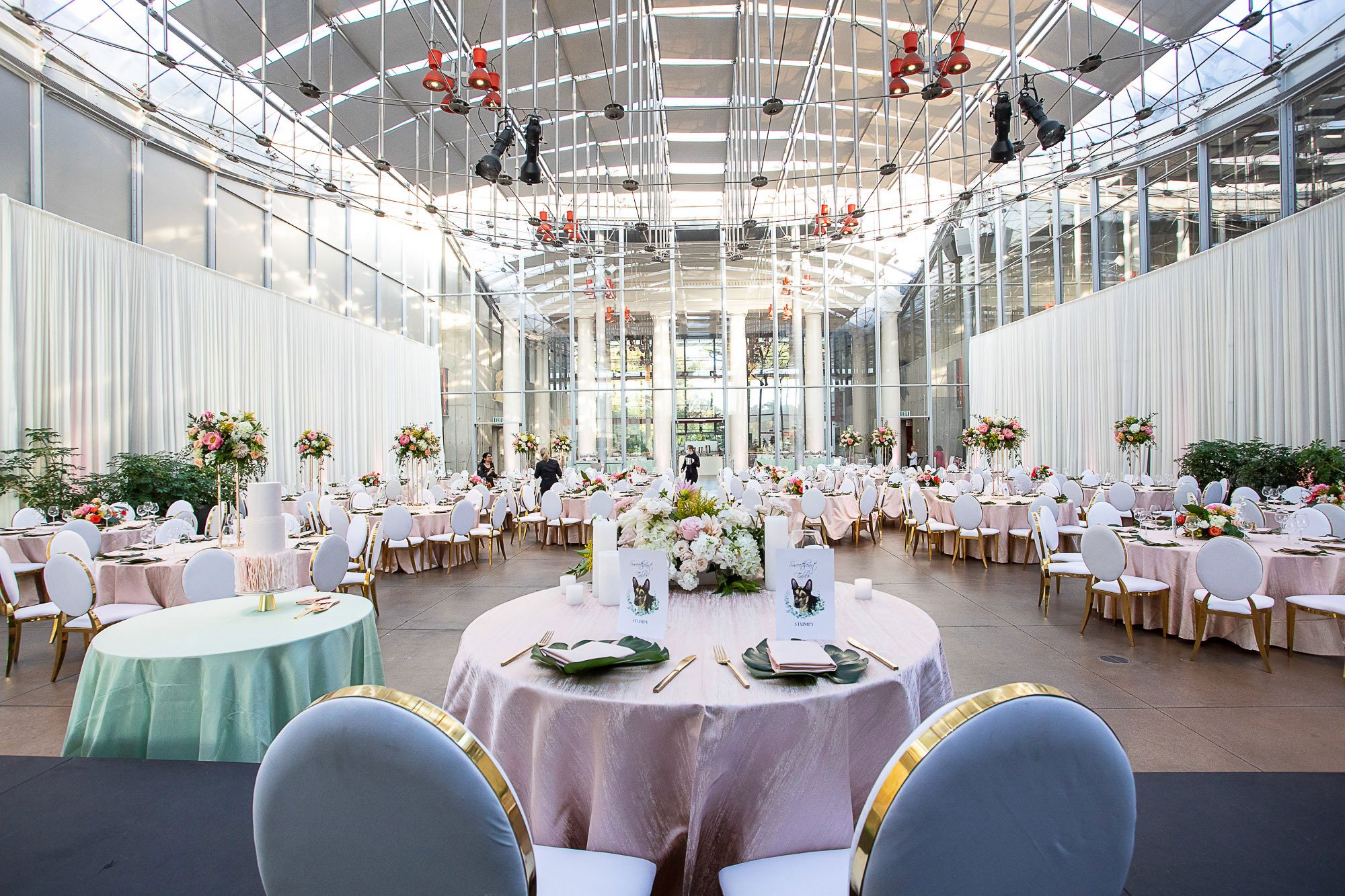 117-san-francisco-botanical-gardens--academy-of-sciences-indian-wedding.jpg