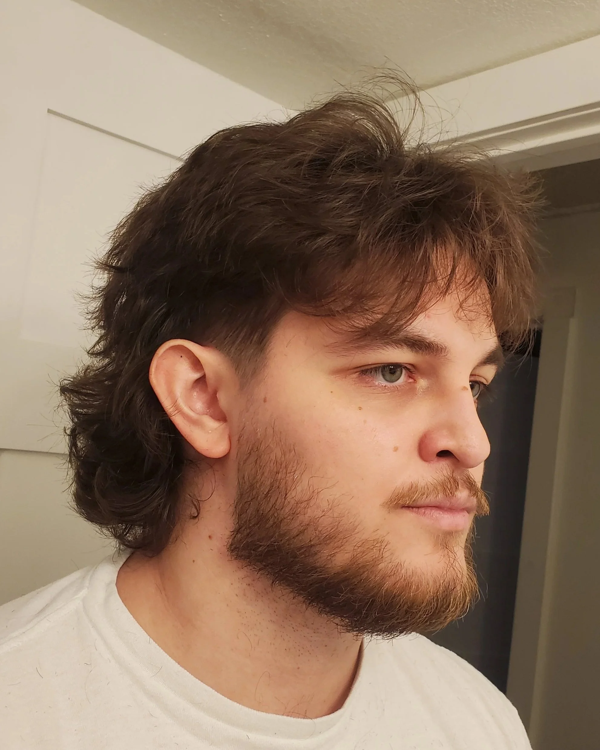 Dylan+Cut.jpg