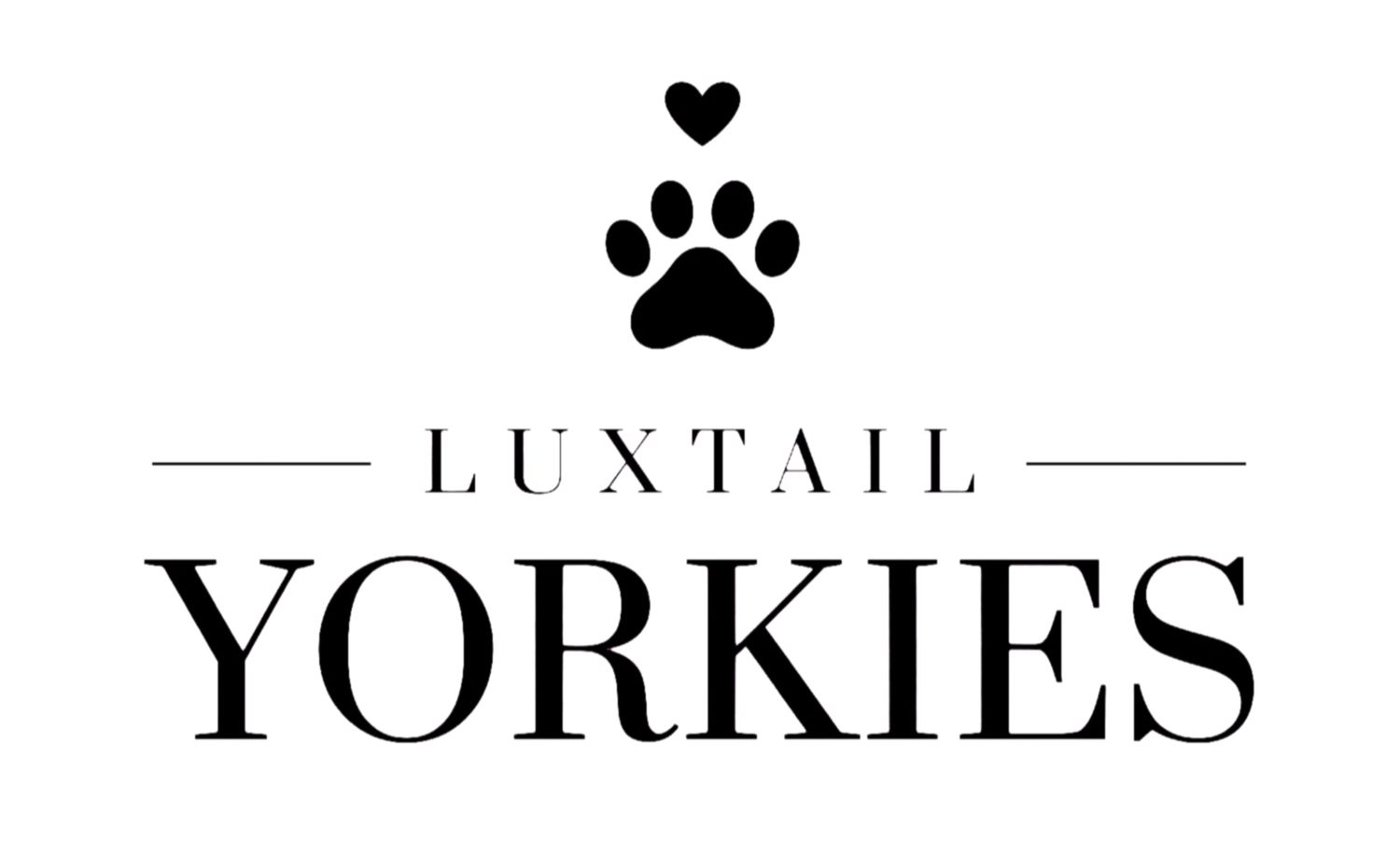 LuxTail Yorkies