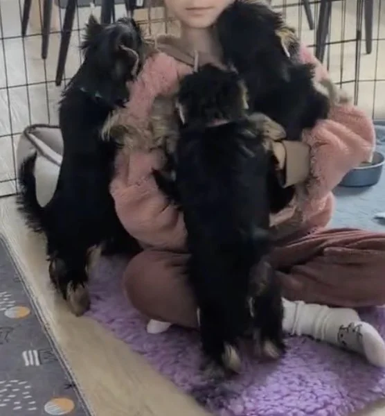 LuxTails Meet and Greet with new family.