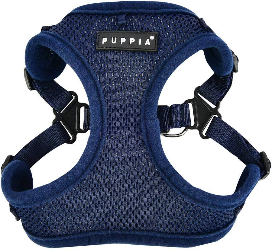 Harness vs. Collar: Protecting Your Yorkie’s Trachea