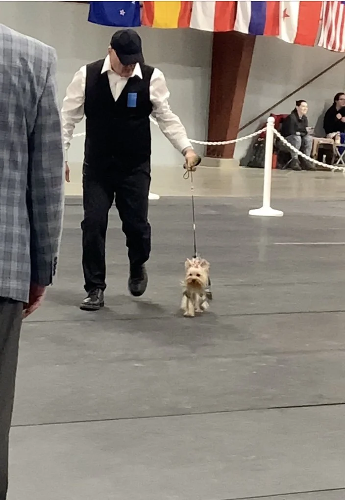 LuxTails Kona in the ring.