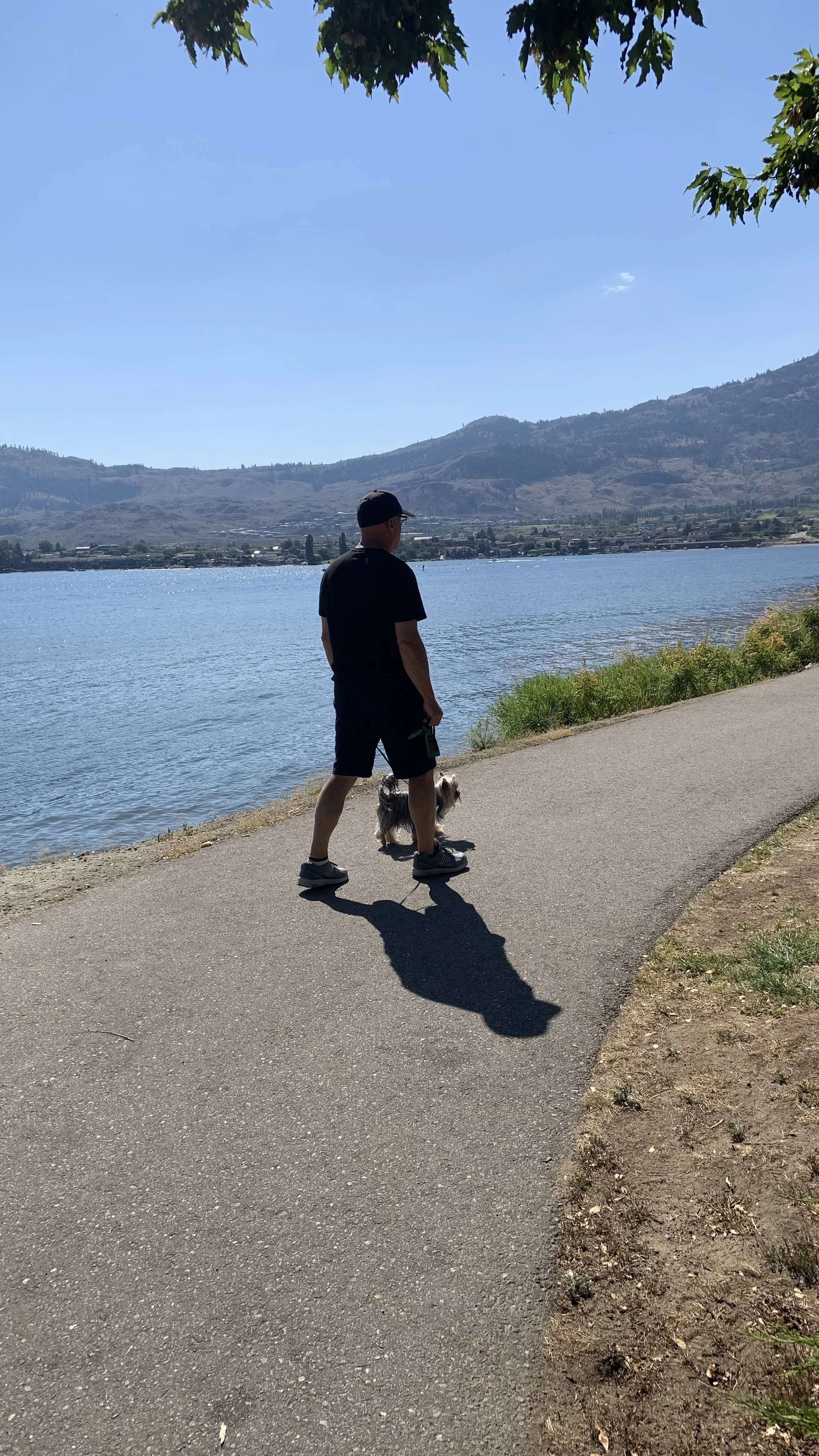 A man walking a Yorkshire Terrier  along a paved trail by a body of water with mountains in the background under a clear blue sky.