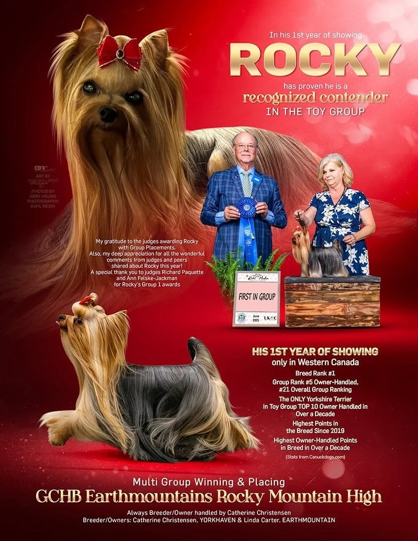 Earthmountainsrockymountainhigh Yorkie