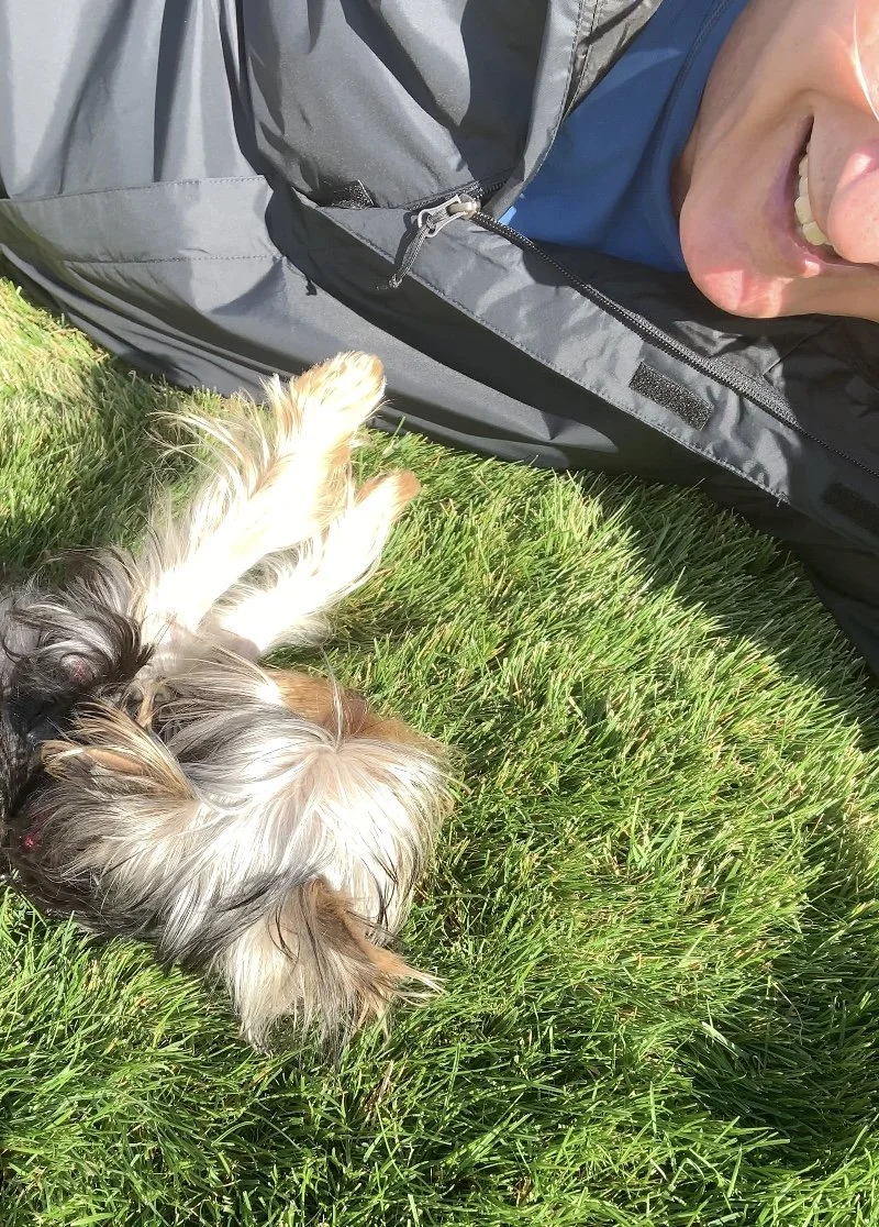 Luxtails owner lying on grass next to a Yorkshire terrier with long, shaggy fur, both outdoors on a sunny day.