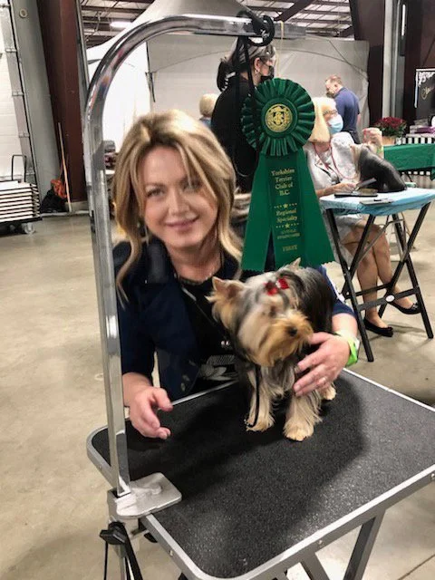 LuxTails woman smiling at a YORKSHIRE TERRIER dog on a grooming table at a dog show event, with a large green ribbon award hanging behind her. 