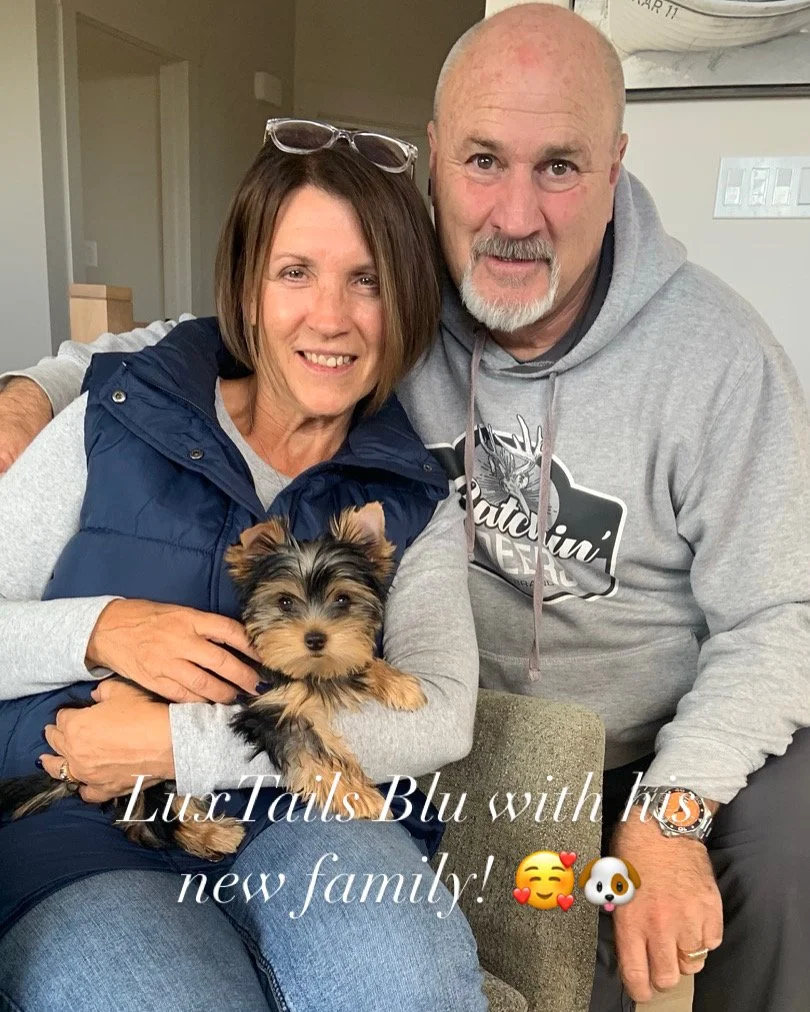LuxTails Casey Blu with his new Family.