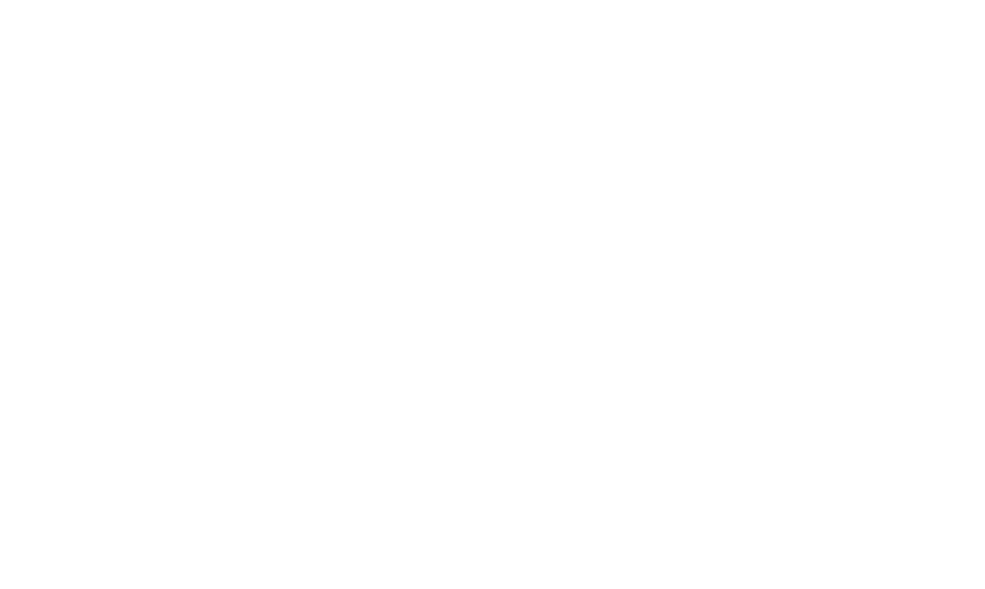 fern logo for fern and stone branding