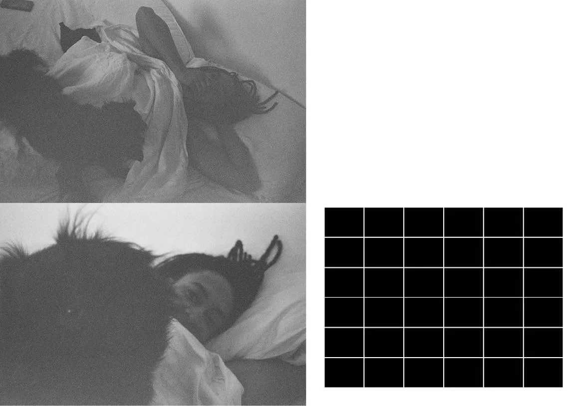 Horizontal 2.jpg