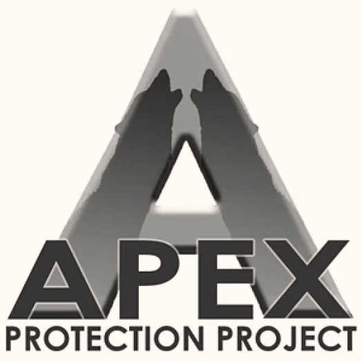 APEX PROTECTION PROJECT Logo
