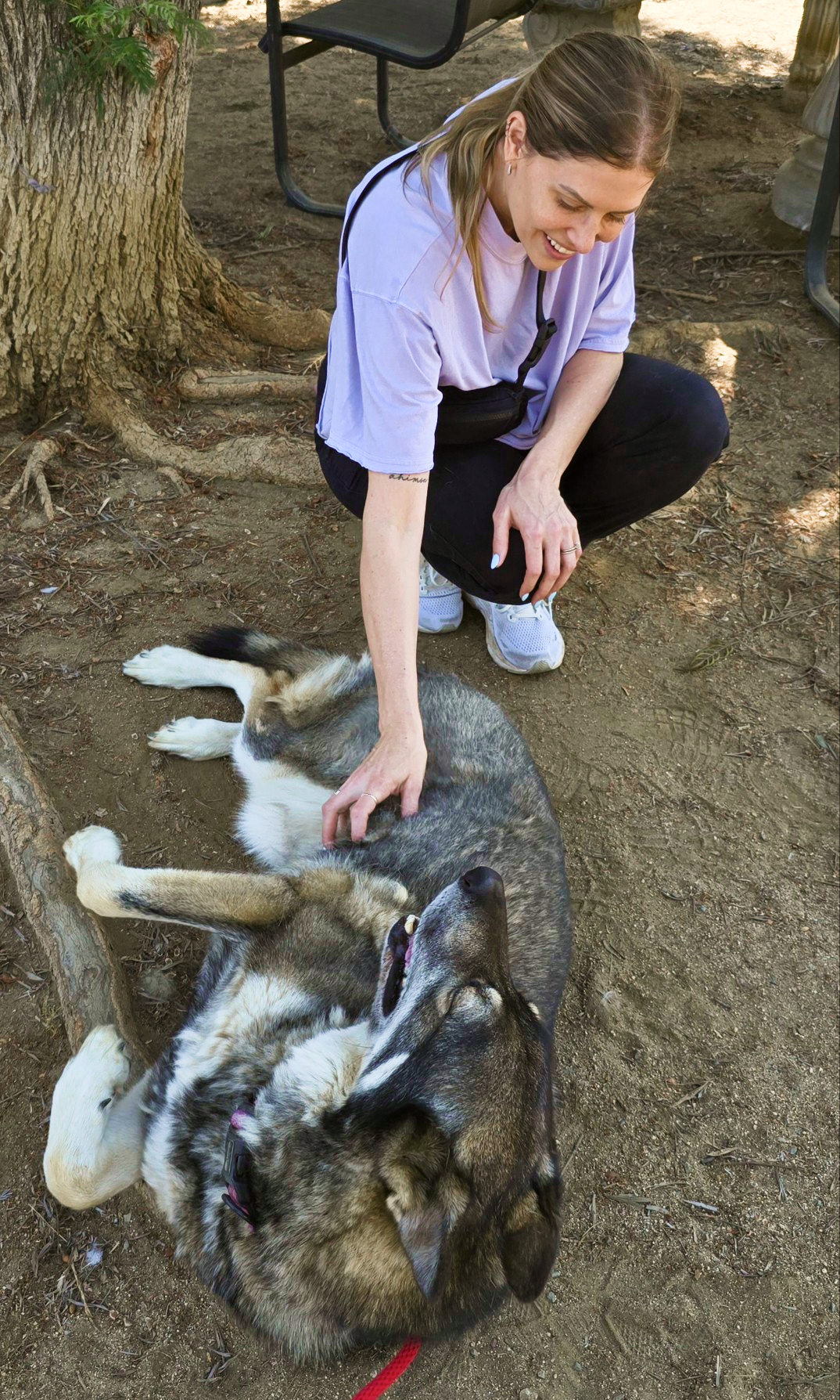 Sarah and Wolf Dog at Rescue