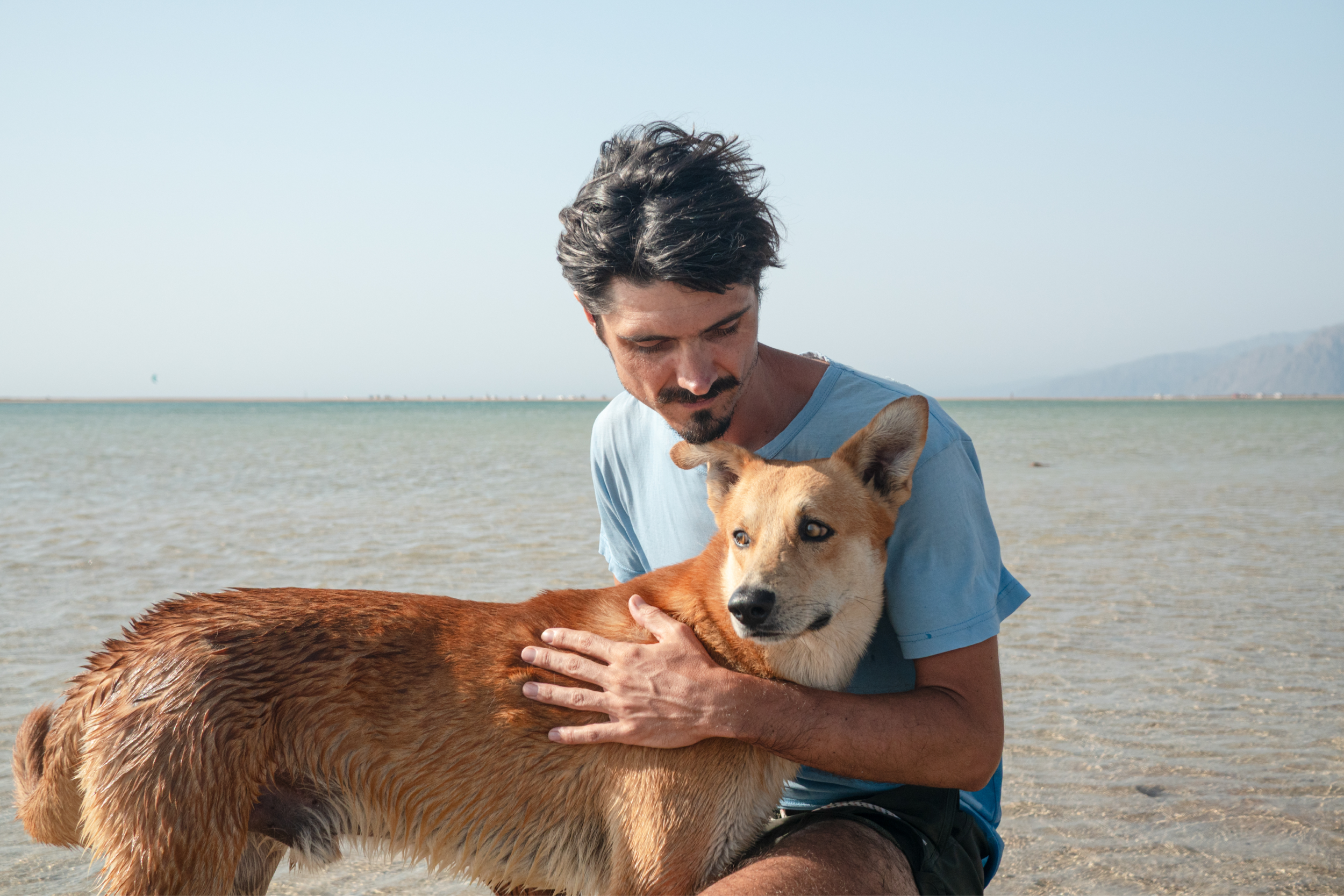 Man and his dog at the beach