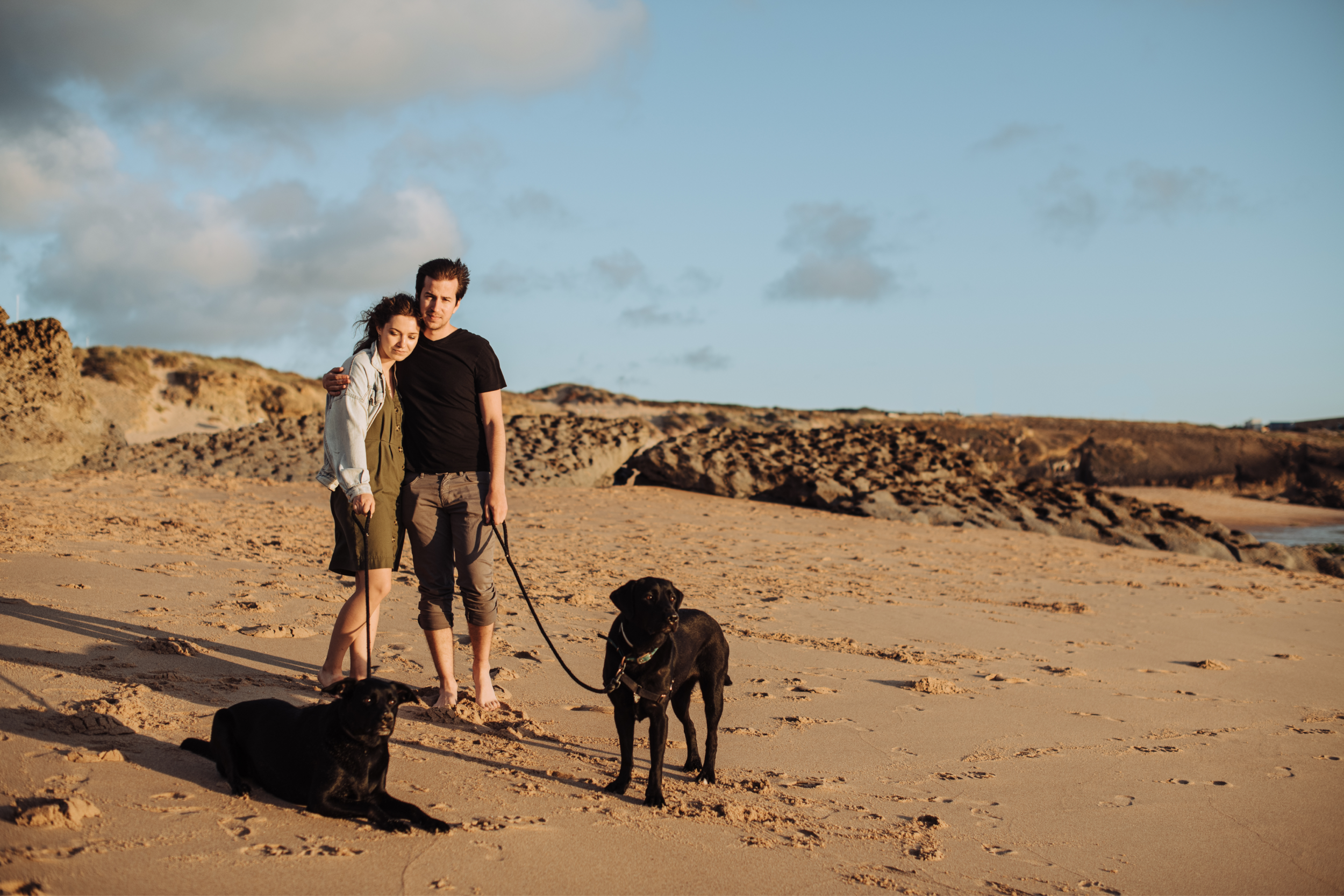 Dogs at the beach