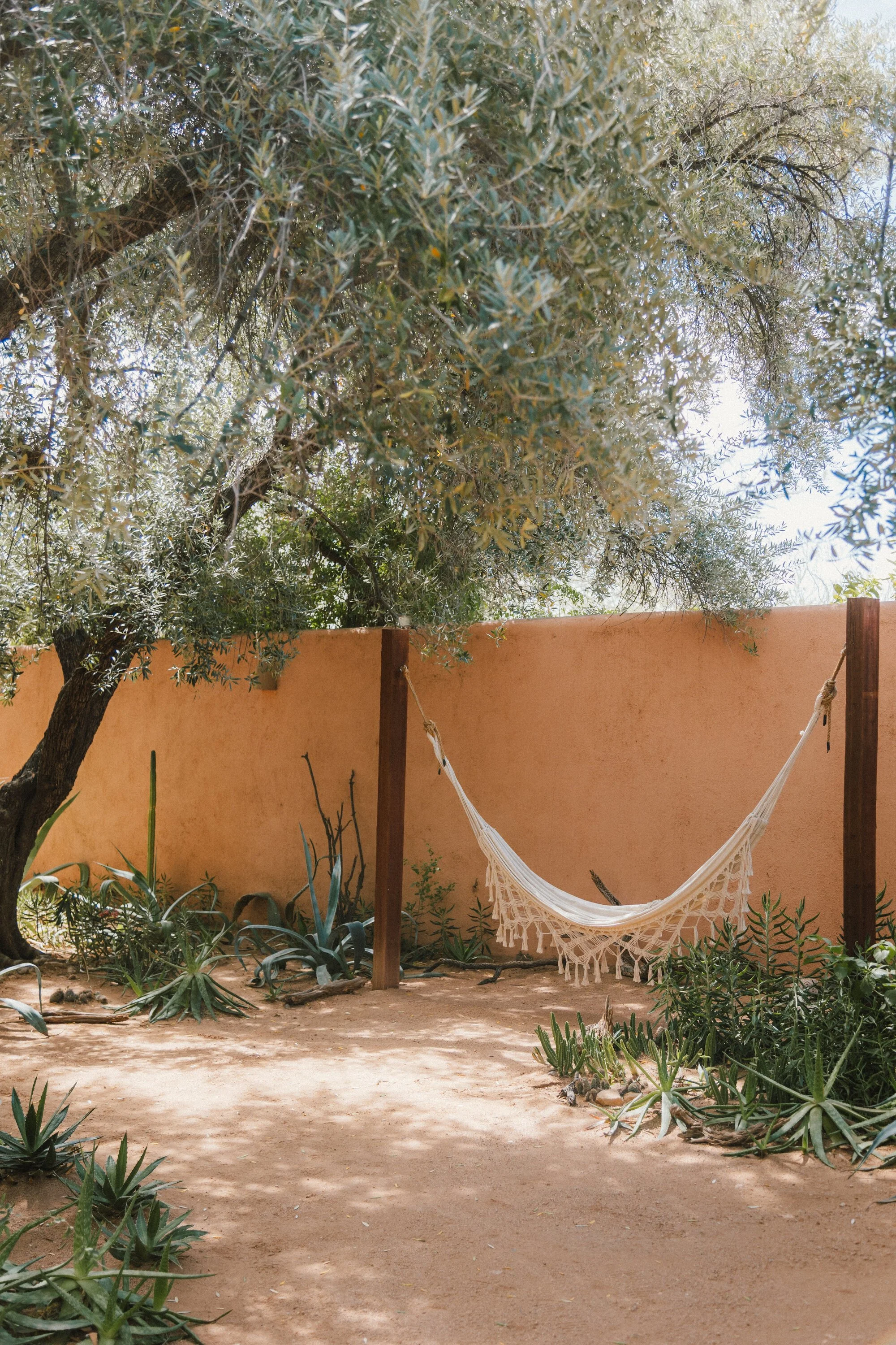 Joshua Tree House Tucson_JenicaElenaStudio-7536.jpg