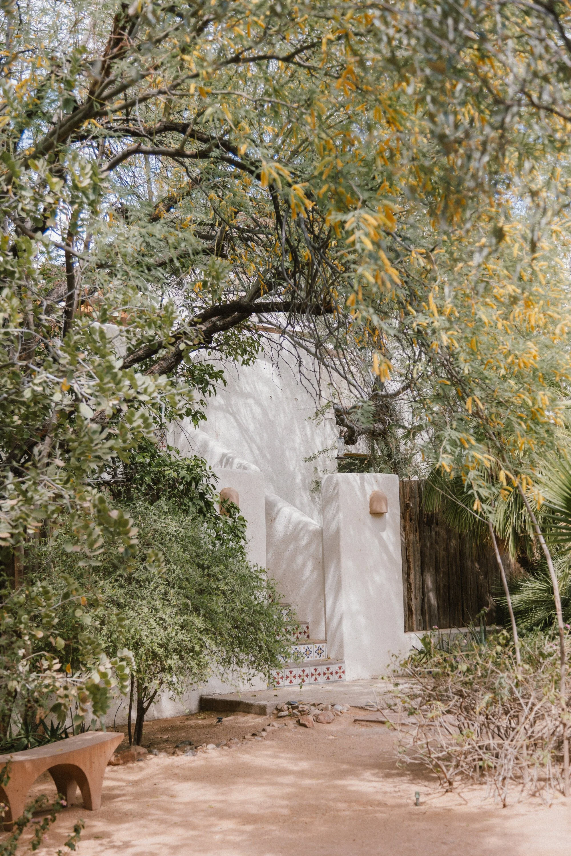 Joshua Tree House Tucson_JenicaElenaStudio-7537.jpg