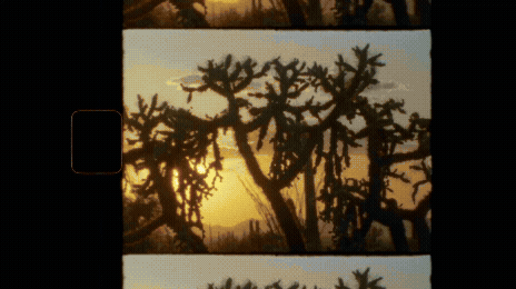 about me travel super 8.gif